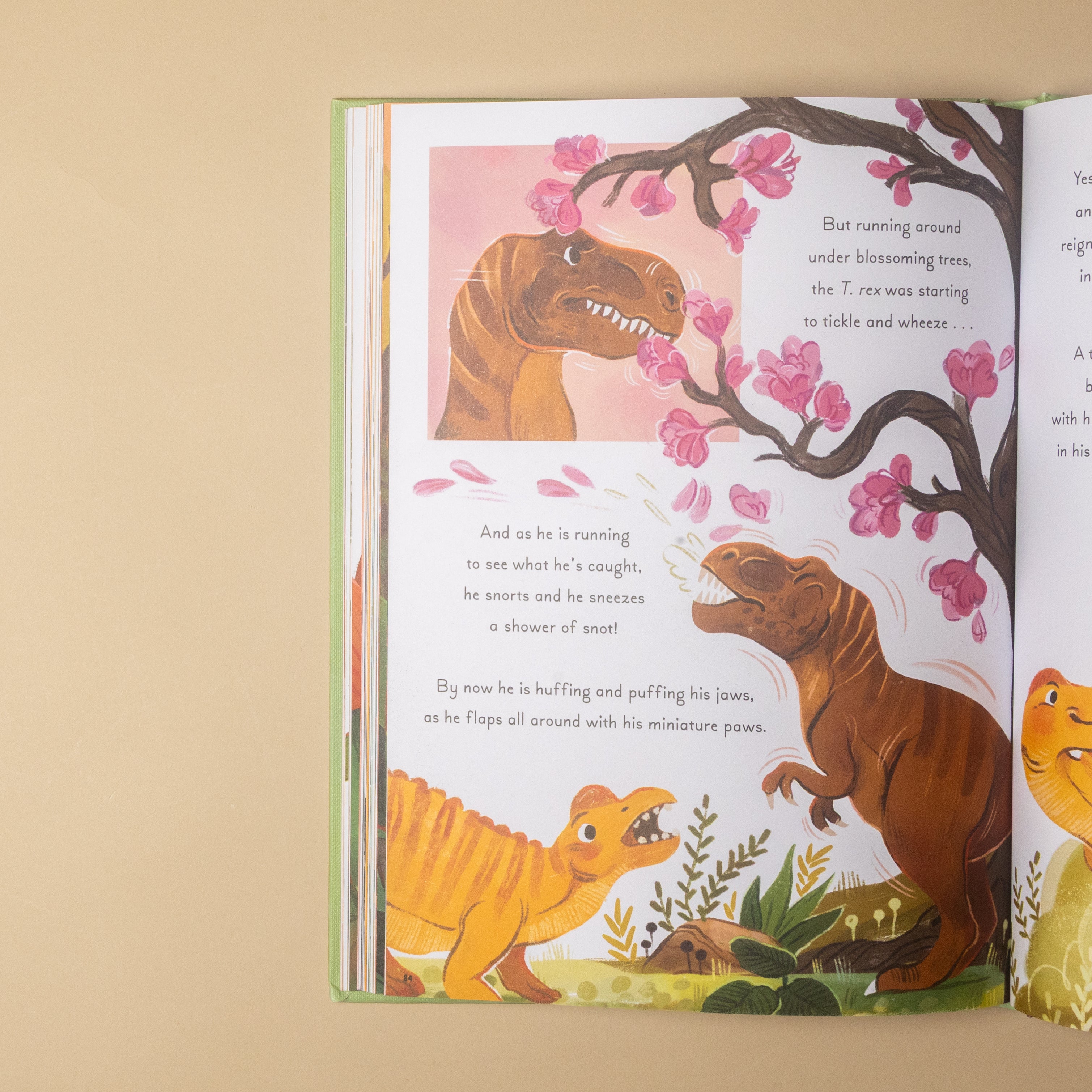 An open children's picture book showing illustrated dinosaur scenes on the pages, photographed against a plain beige background.