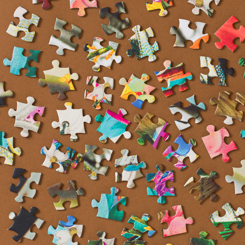 DavidKrovblit_sAstronaut1000pcPuzzle pieces