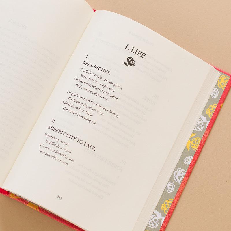 Hope-is-the-Thing-with-Feathers-Book example poems