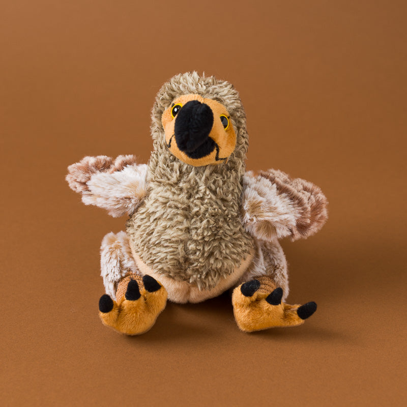 Little_Dodo_Bird_Cub