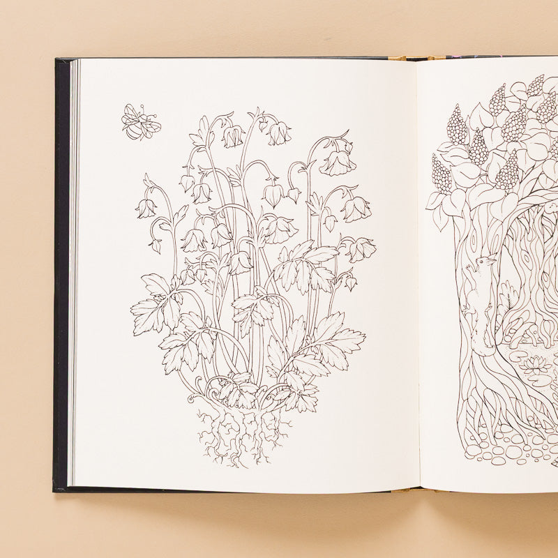Nightfall_Coloring_Book flowers and bees
