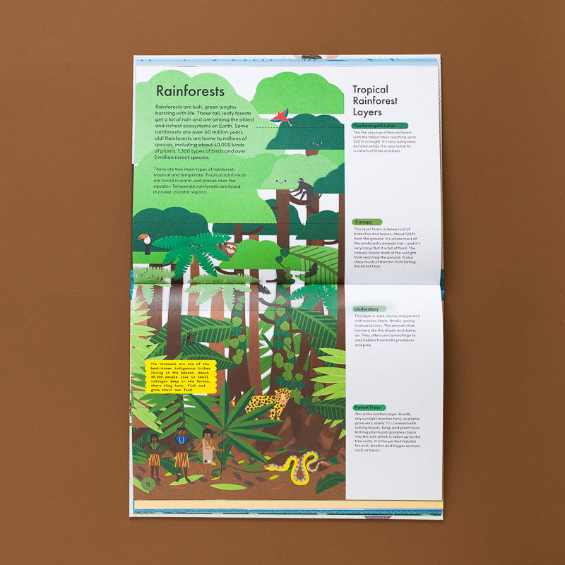 Sea_to_Sky_-_an_Introduction_to_Planet_Earth open page to rainforest