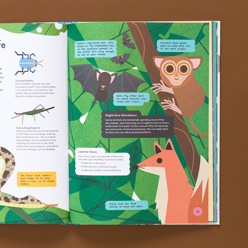 Sea_to_Sky_-_an_Introduction_to_Planet_Earth open page to illustration of tarsiers