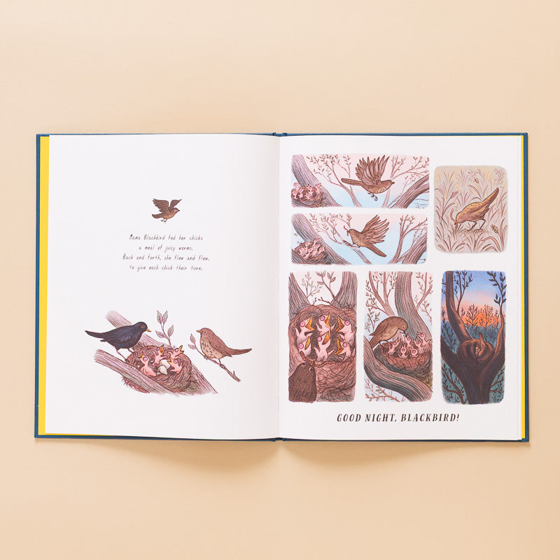 Slow_Down..._and_Sleep_Tight_Book open page to illustration of bird family