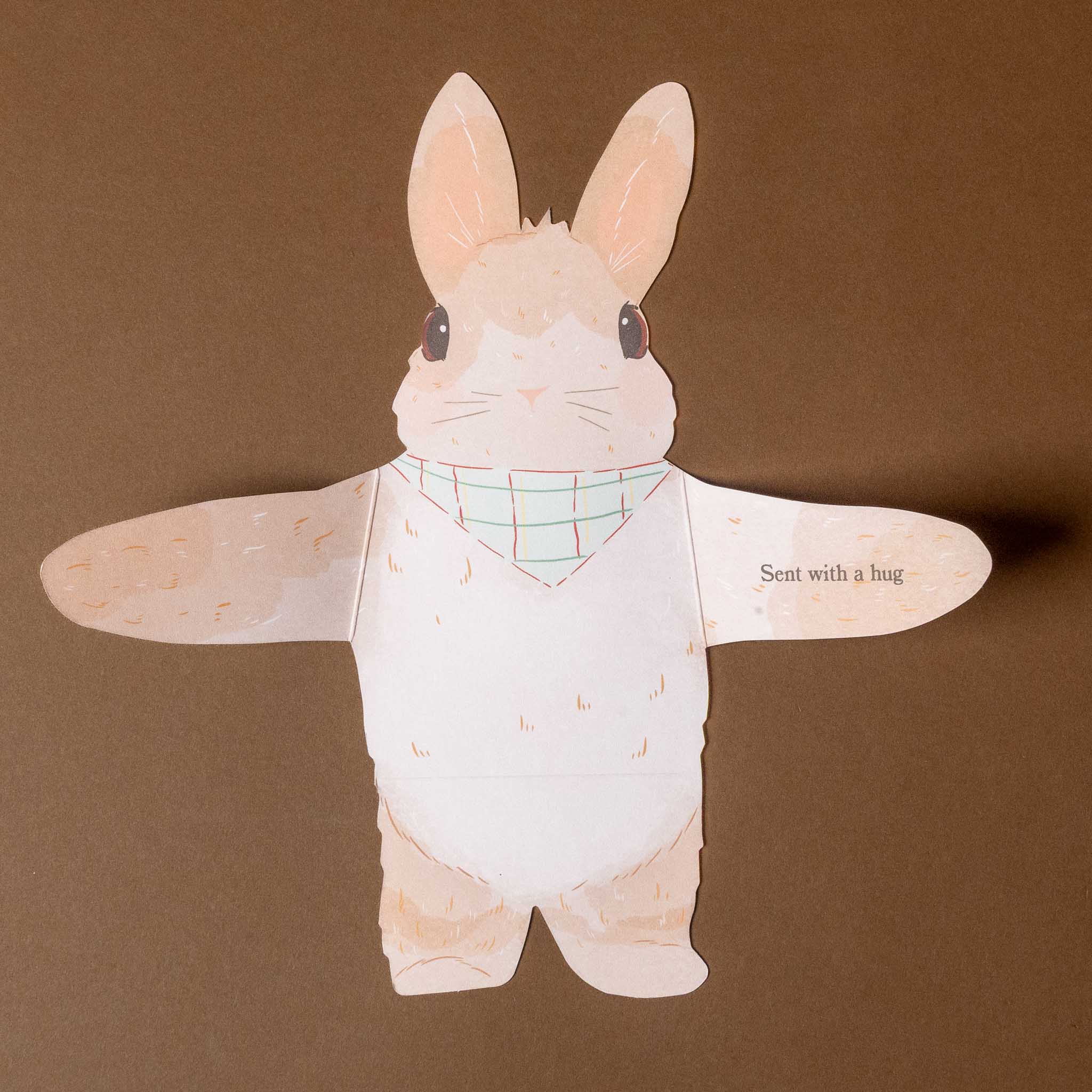 Snuggle-Bunnies-Notecards-text-sent--with-a-hug