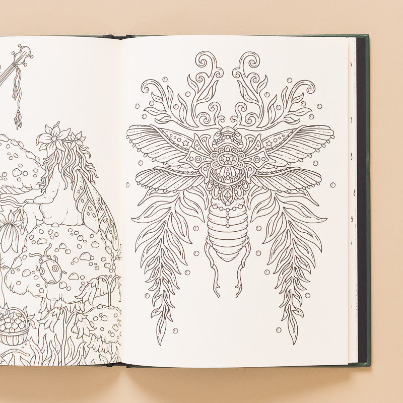 Tales_from_the_Forest_Kingdom_Coloring open page with bee