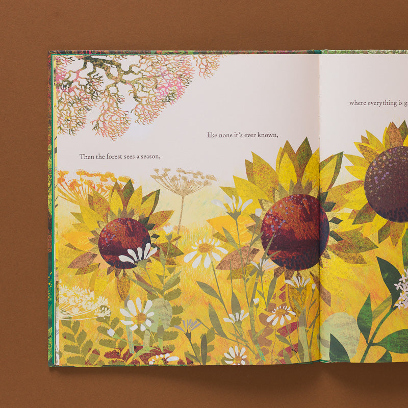 The-Green-Child-Book open age to illustration of sunflowers