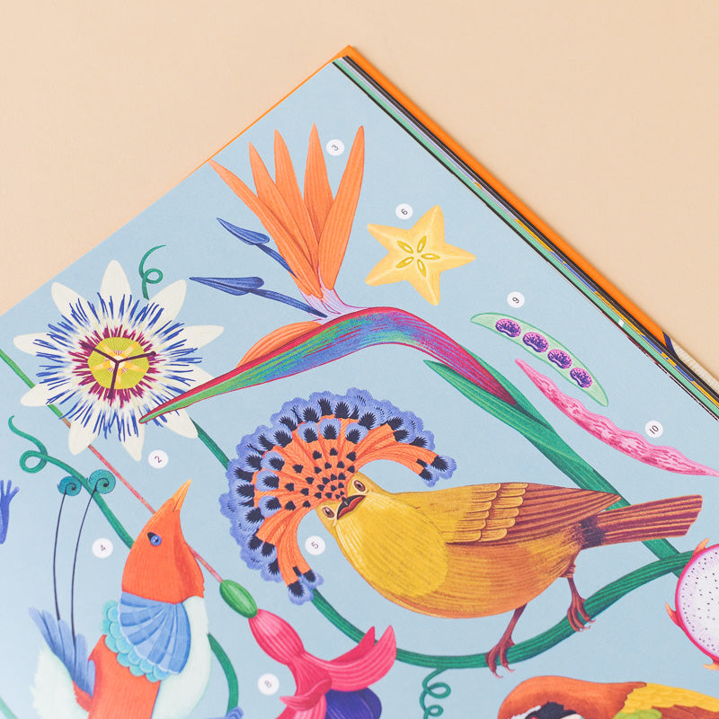 The_Wonder_of_Nature_-_Discovering_the_Science_Behind_its_Beauty_ open page to colorful bird illustrations