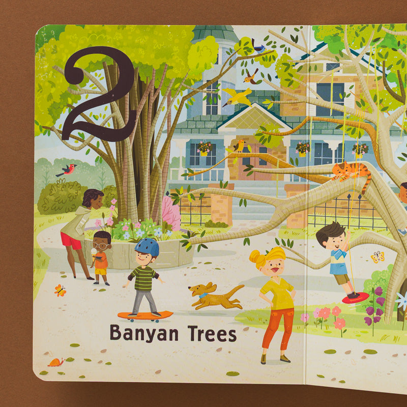 Trees-A-Count-Find-Primer-Board-Book open page to 2 banyan trees