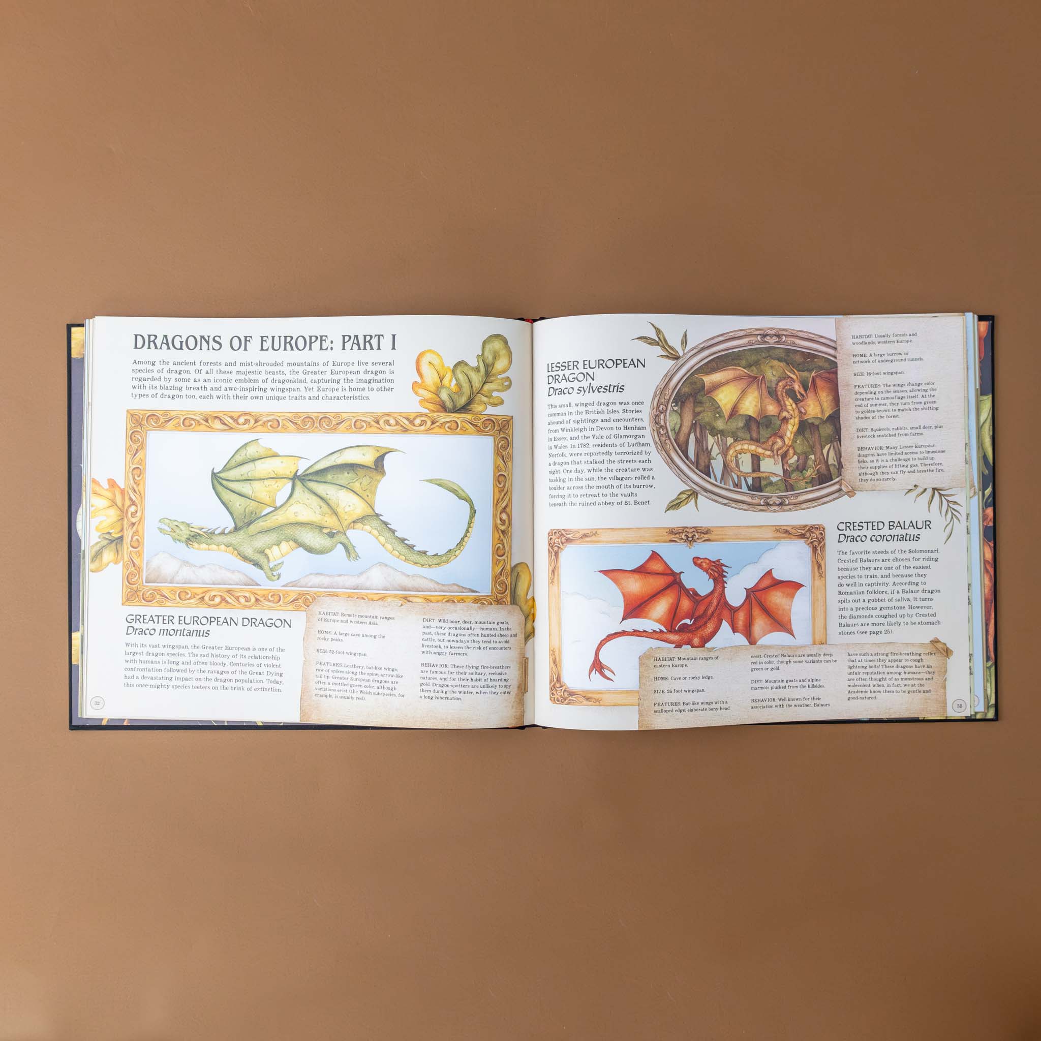 A Natural History of Dragons Book