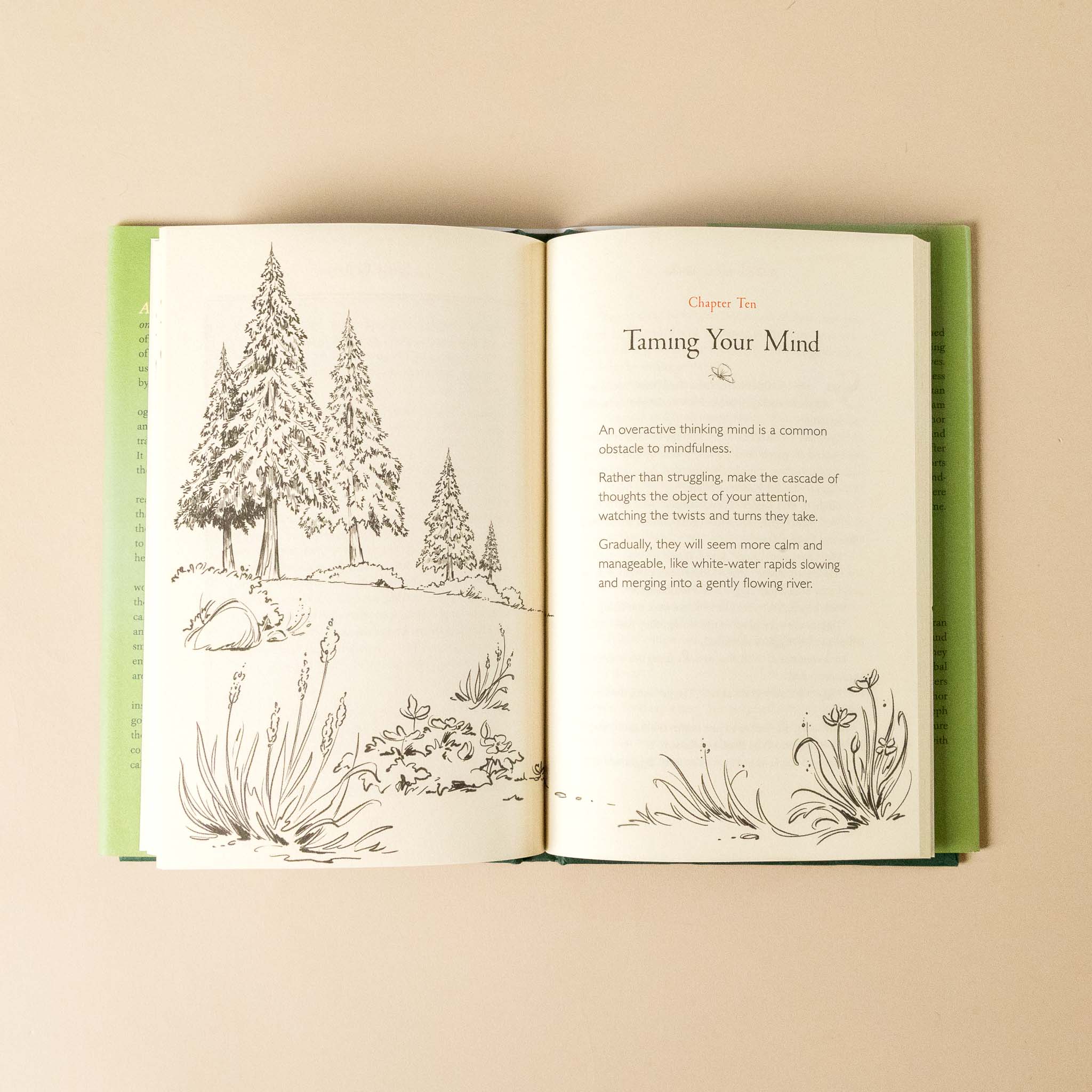 Open a-walk-in-the-wood with nature-themed illustrations on a beige background
