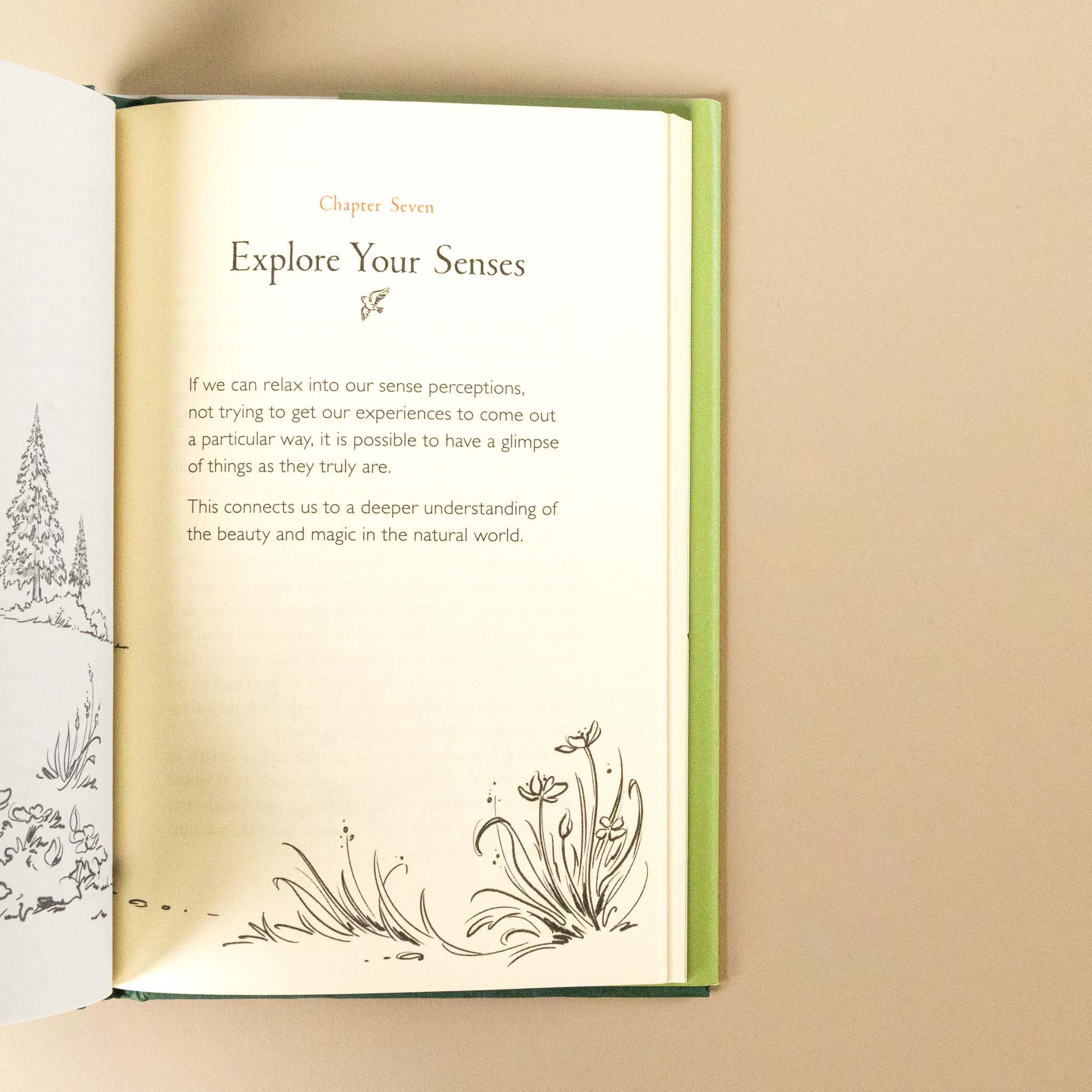 Open a-walk-in-the-wood with text and illustrations on a beige background