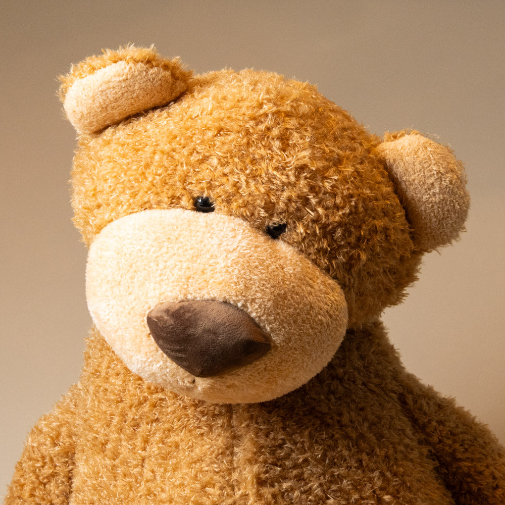 anatole-the-bear-jumbo