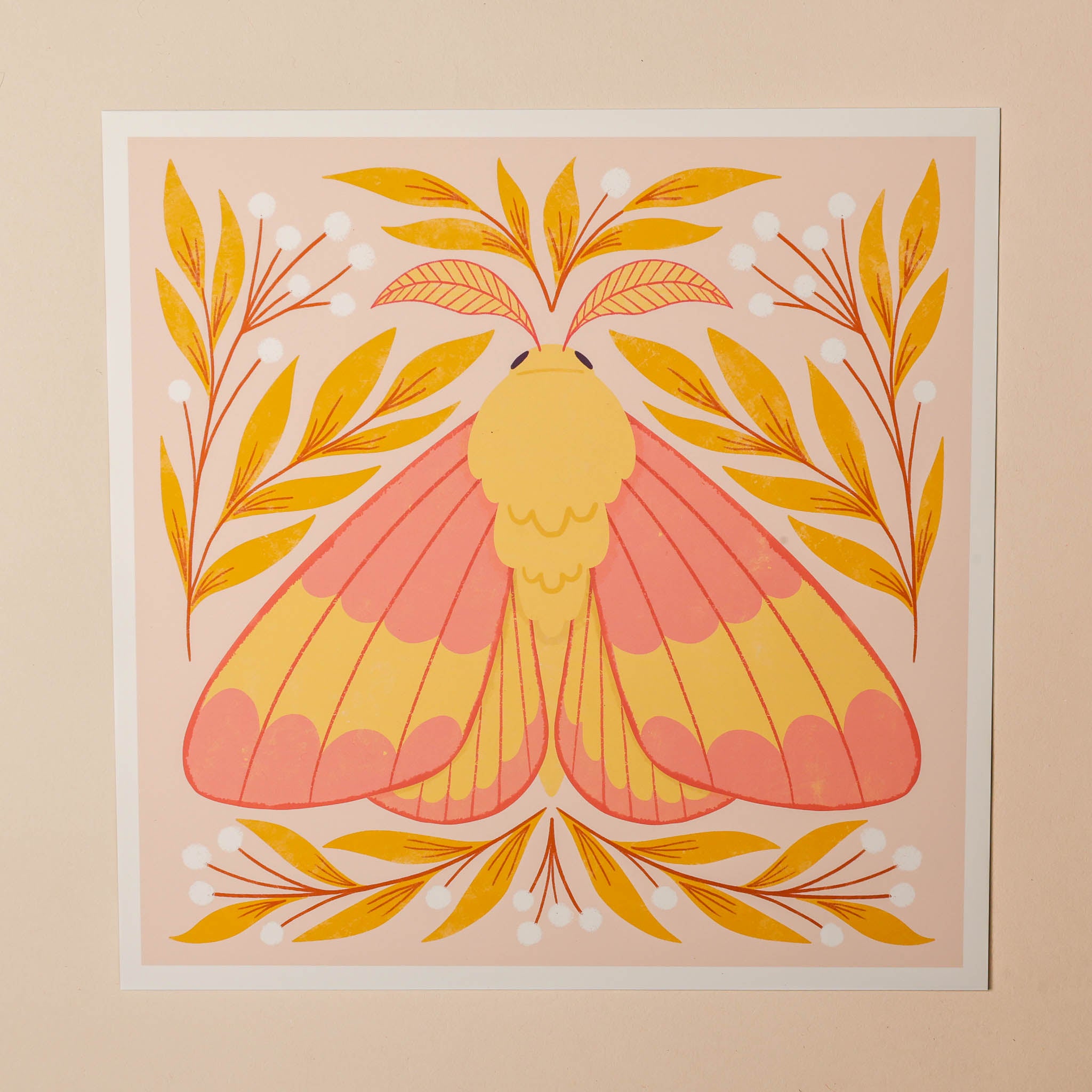 art-print-rosy-maple-moth