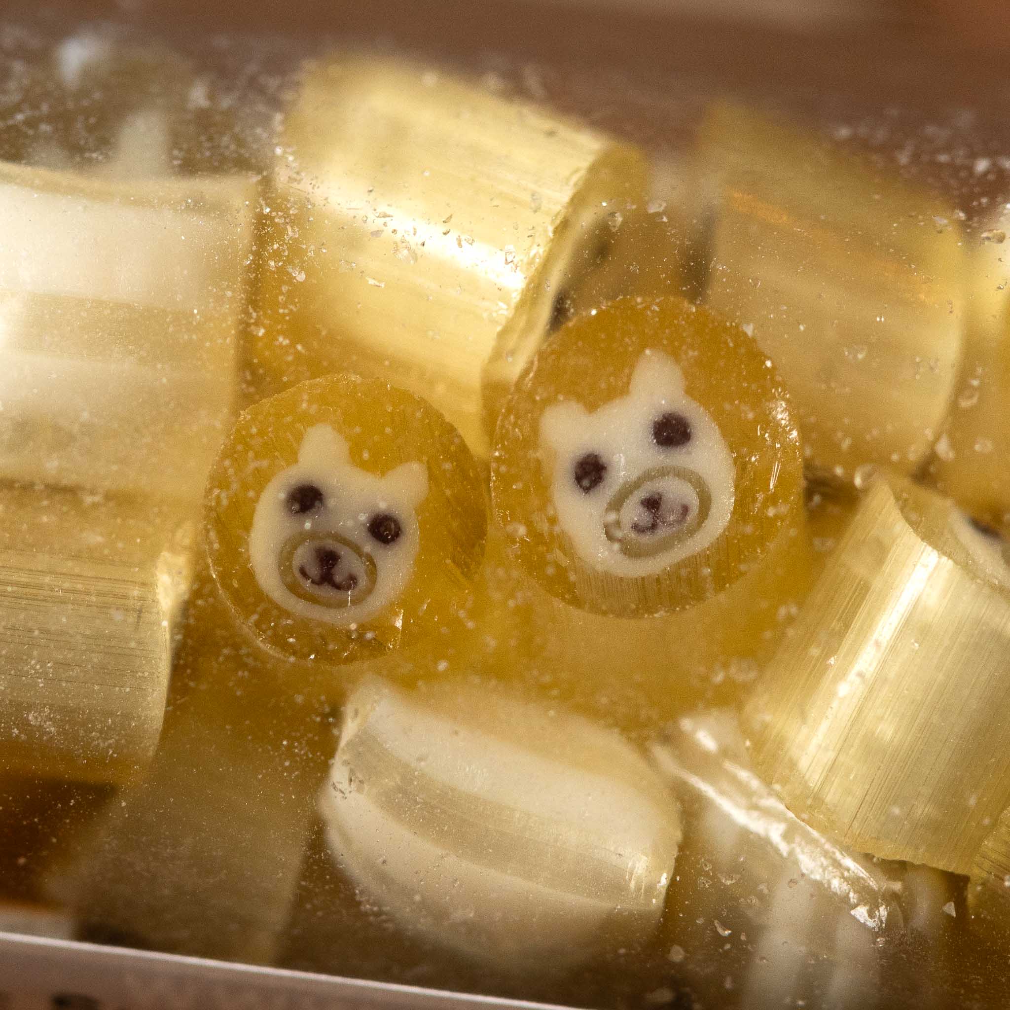 Artisanal Hard Candy Tube | Cola Polar Bear