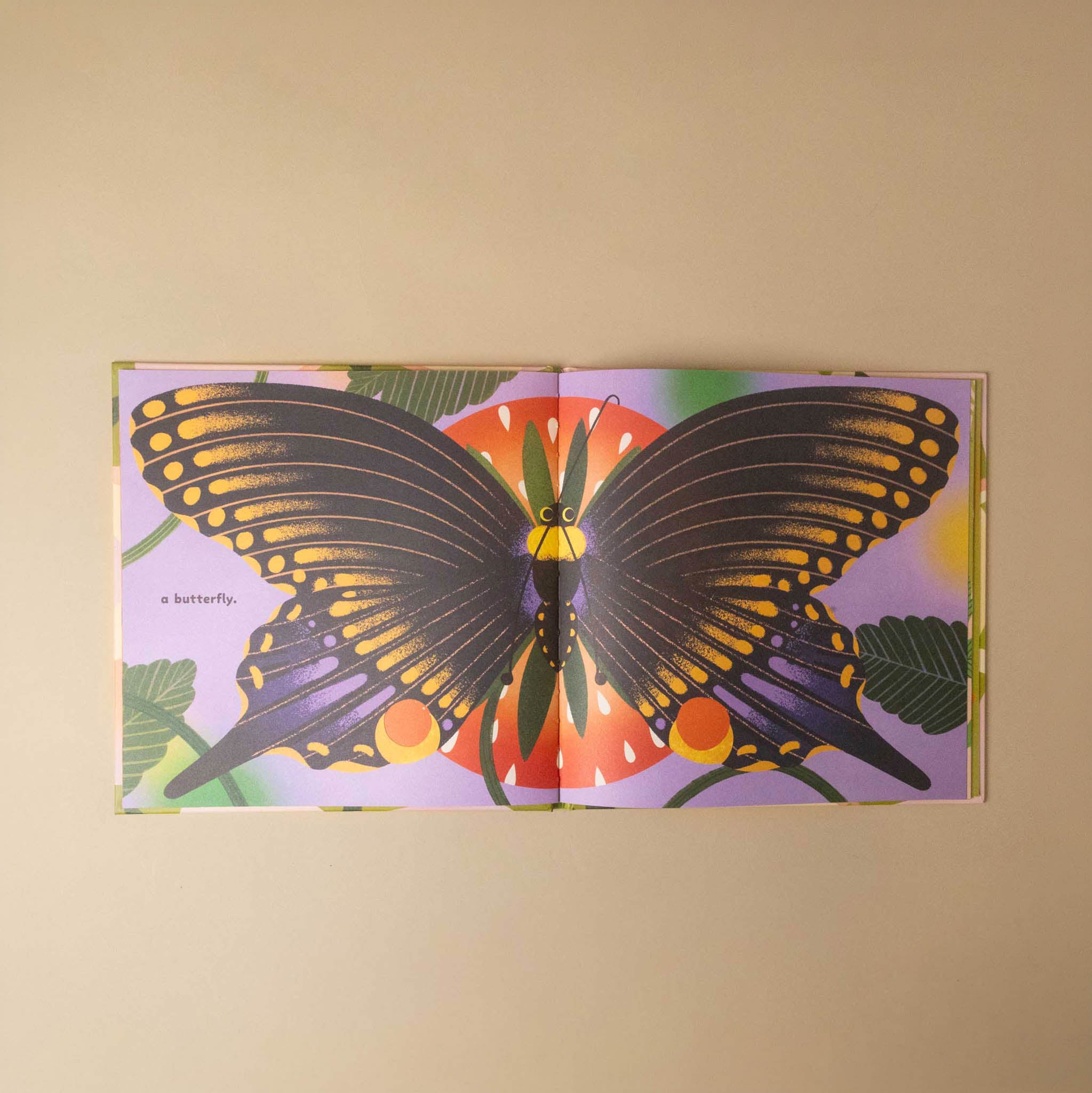 because-of-a-bee-book Illustration of a butterfly on a colorful background with text on a beige wall.