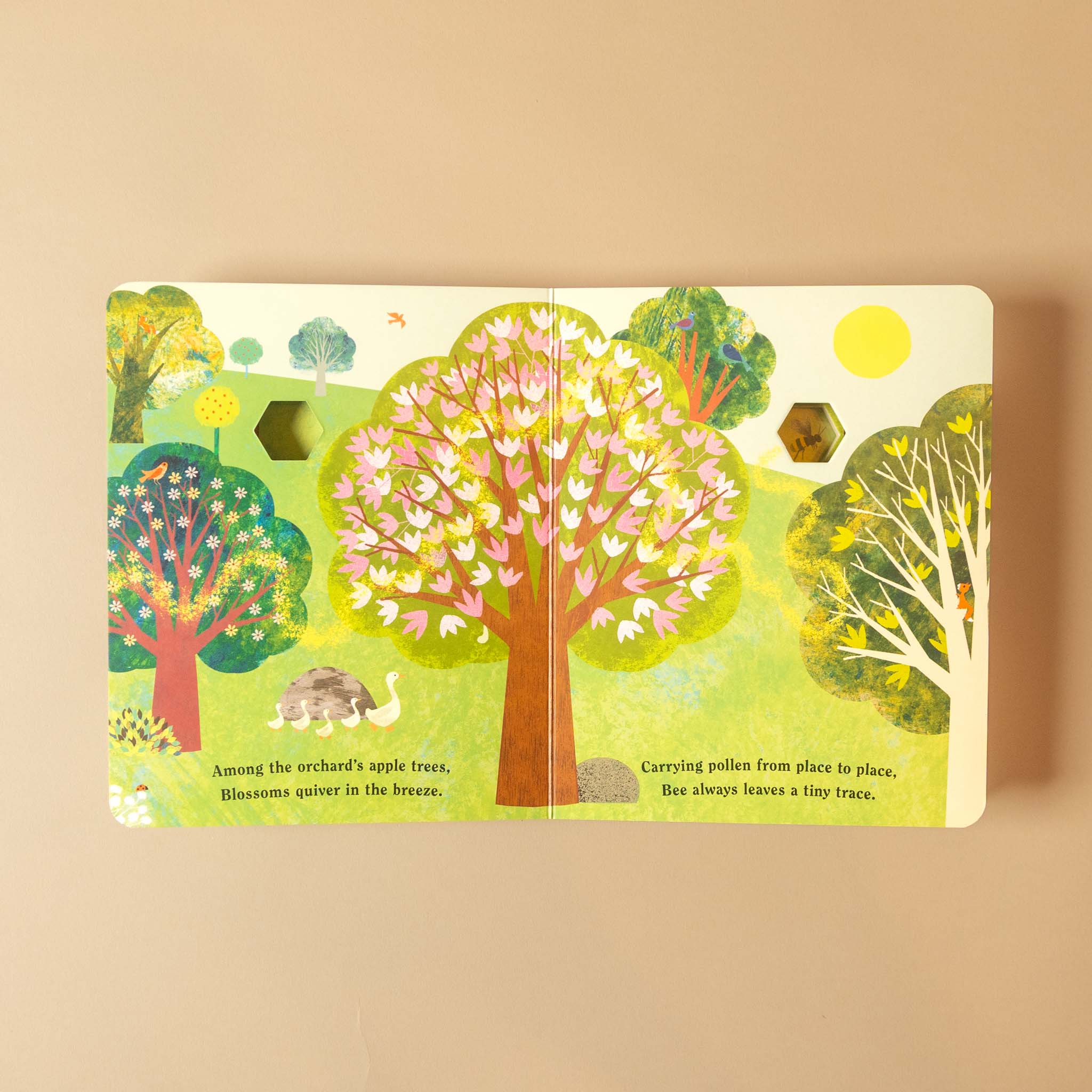 Bee | A Peek Through Board Book