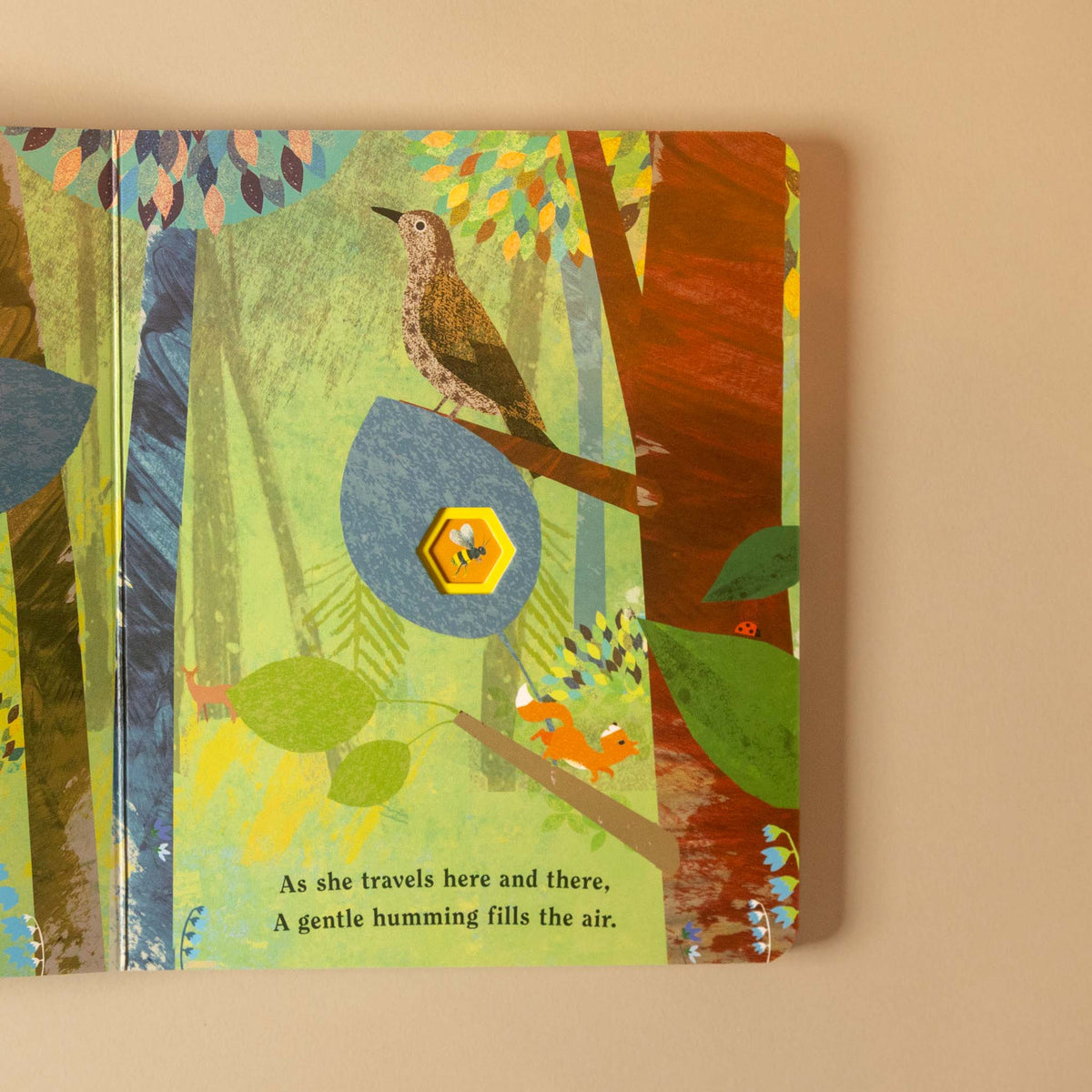 Bee | A Peek Through Board Book
