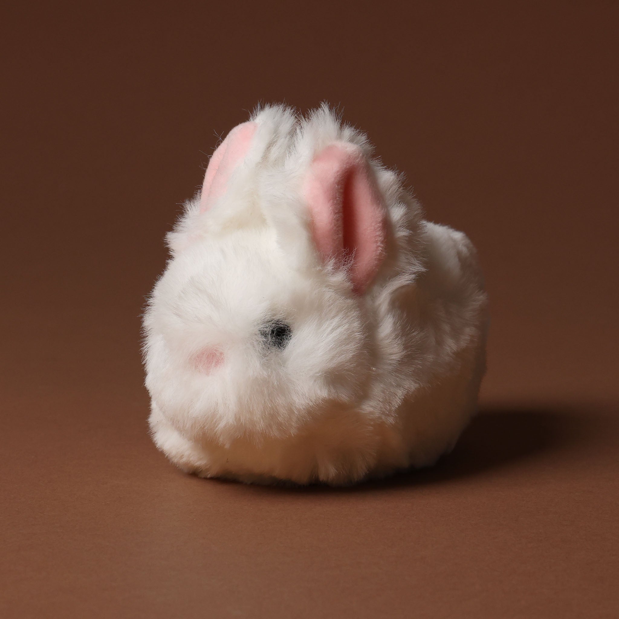 White plush bitty-bunny-white with a brown tag on a brown background