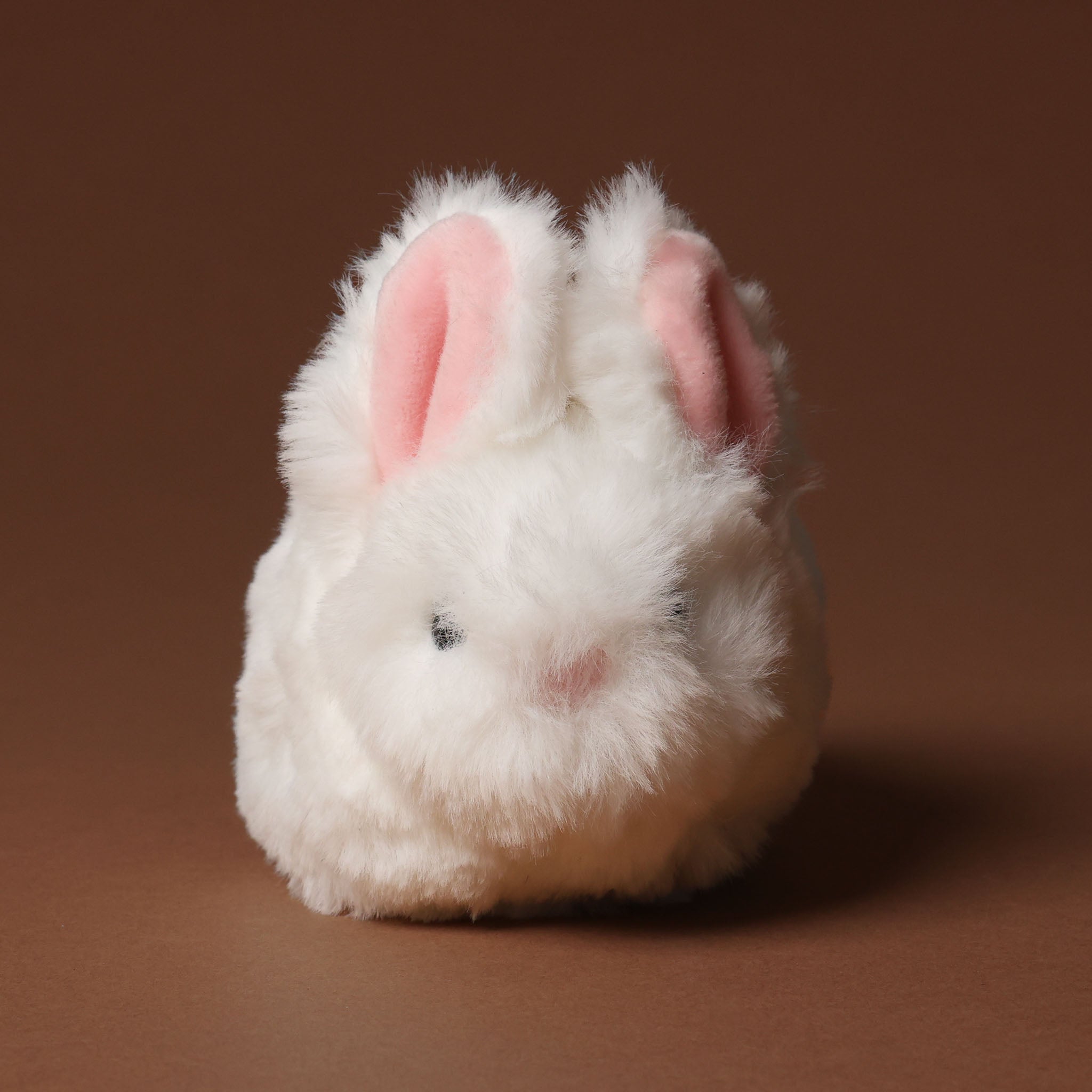 White plush bitty-bunny-white with a brown tag on a brown background