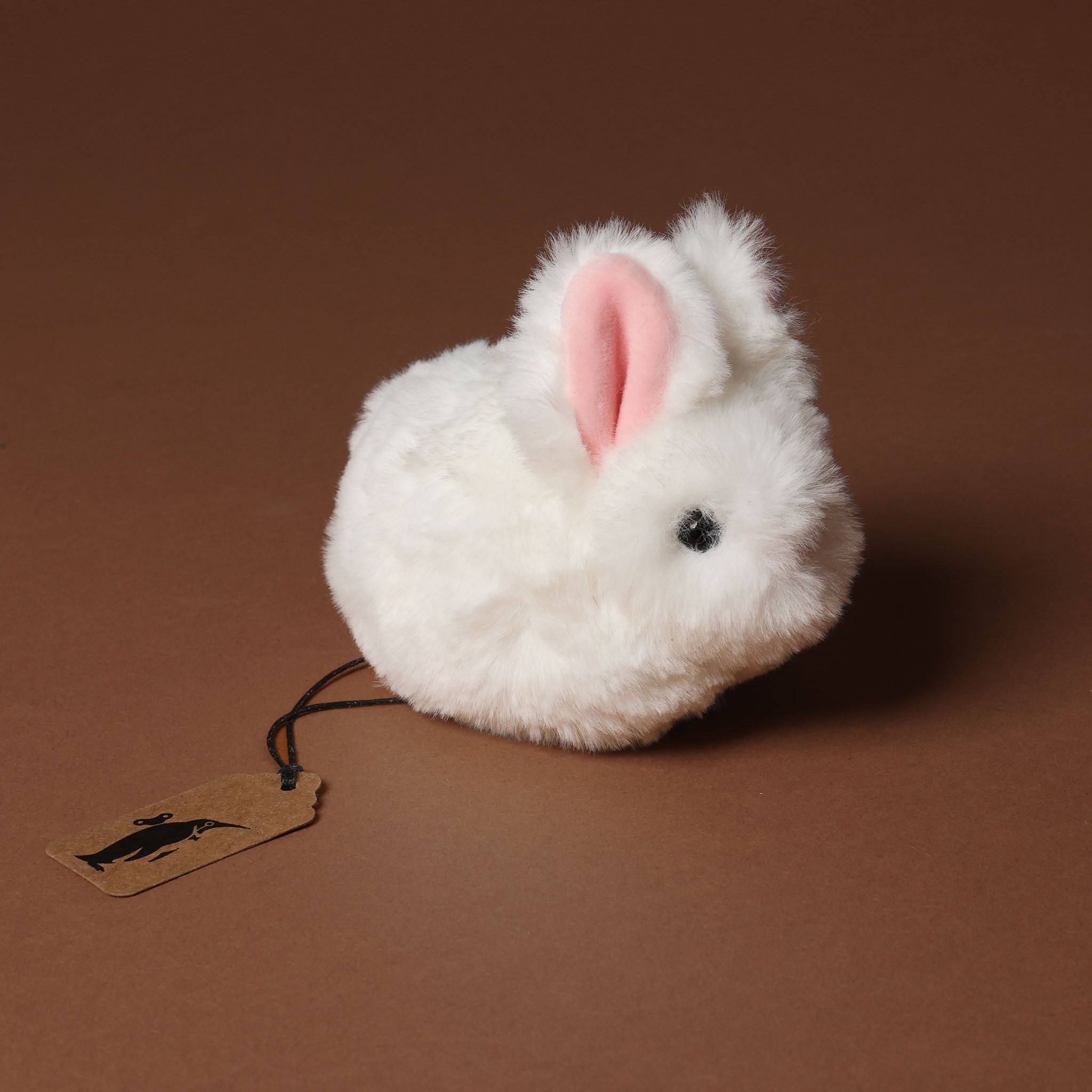 White plush bitty-bunny-white with a brown tag on a brown background