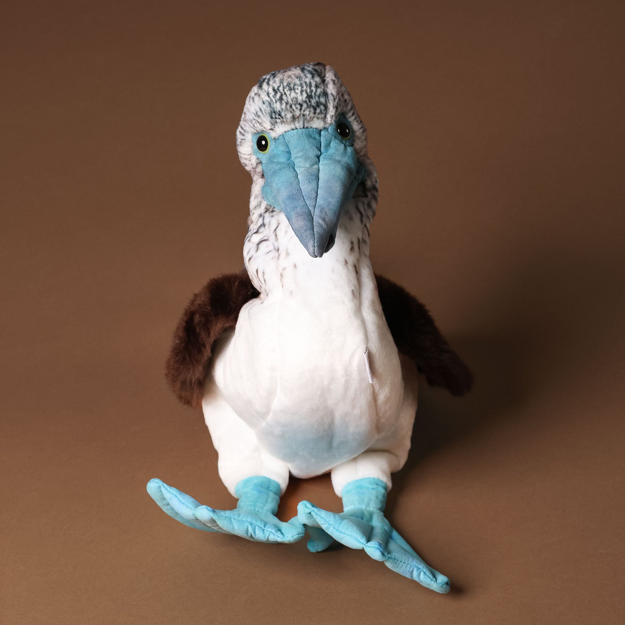 blue-footed-booby-bird-hand-puppet