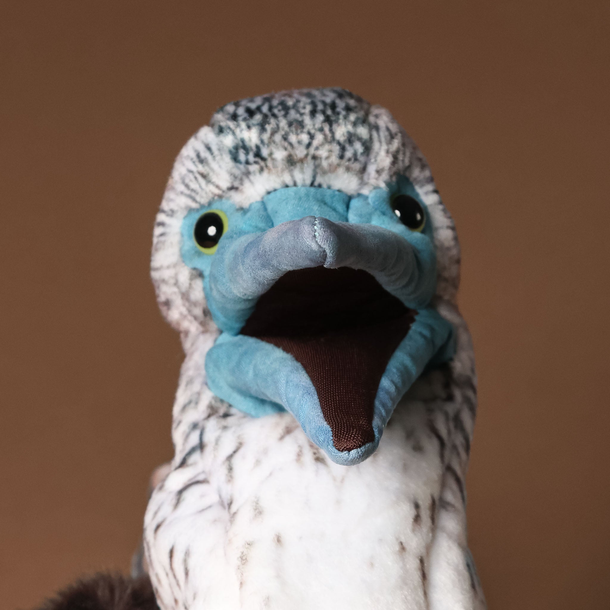 blue-footed-booby-bird-hand-puppet
