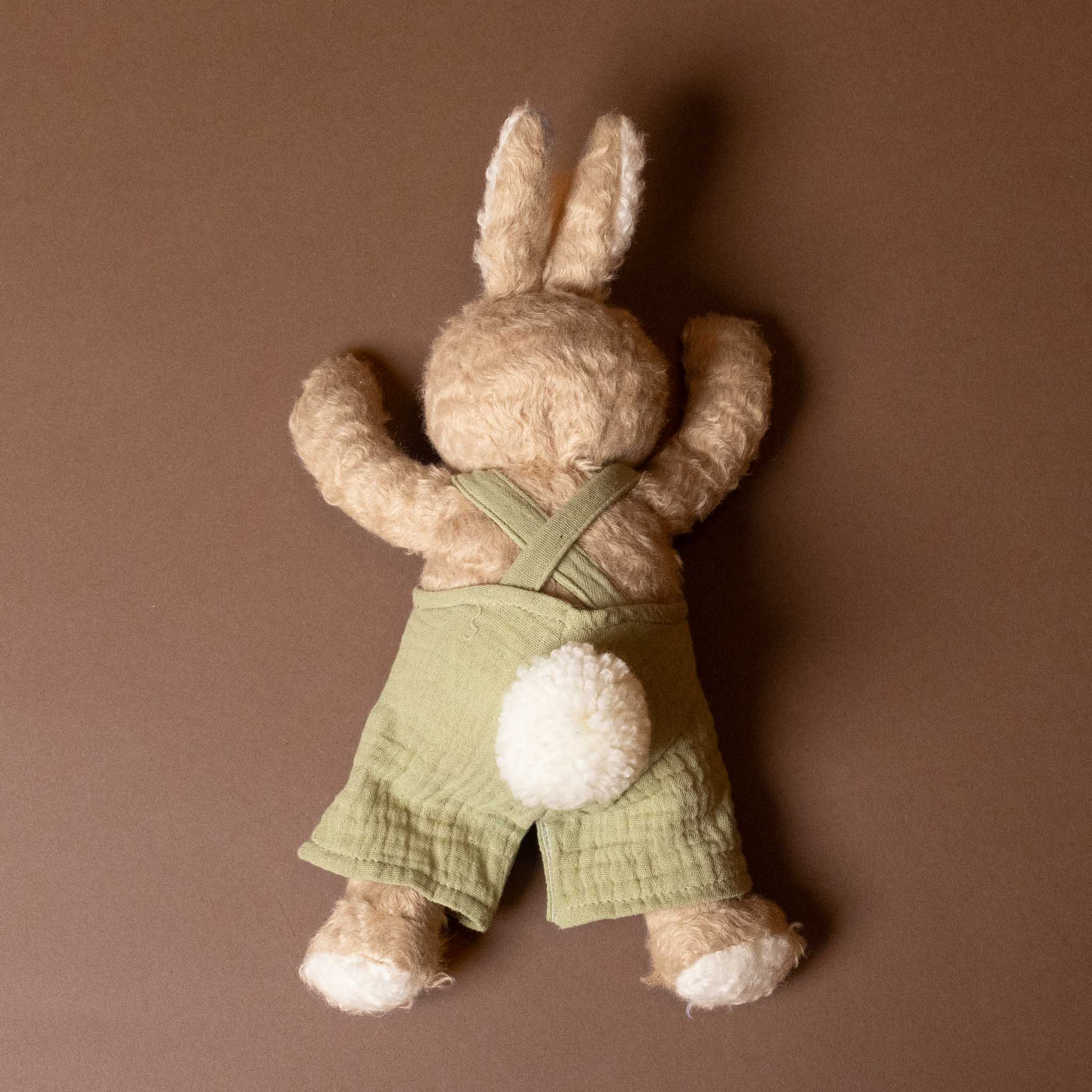Stuffed bramble-the-bunny-limited-edition with green overalls and white hat on a brown background