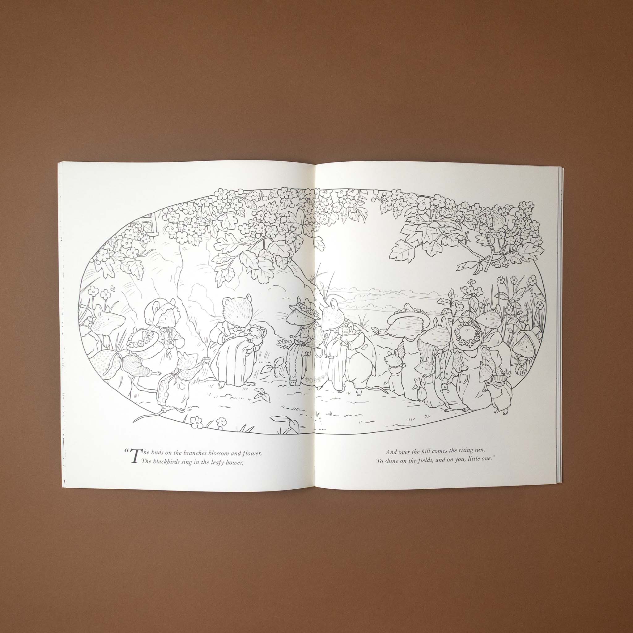 brambly-hedge-nature-coloring-book Open book with illustrations of woodland creatures playing in a garden on a brown background