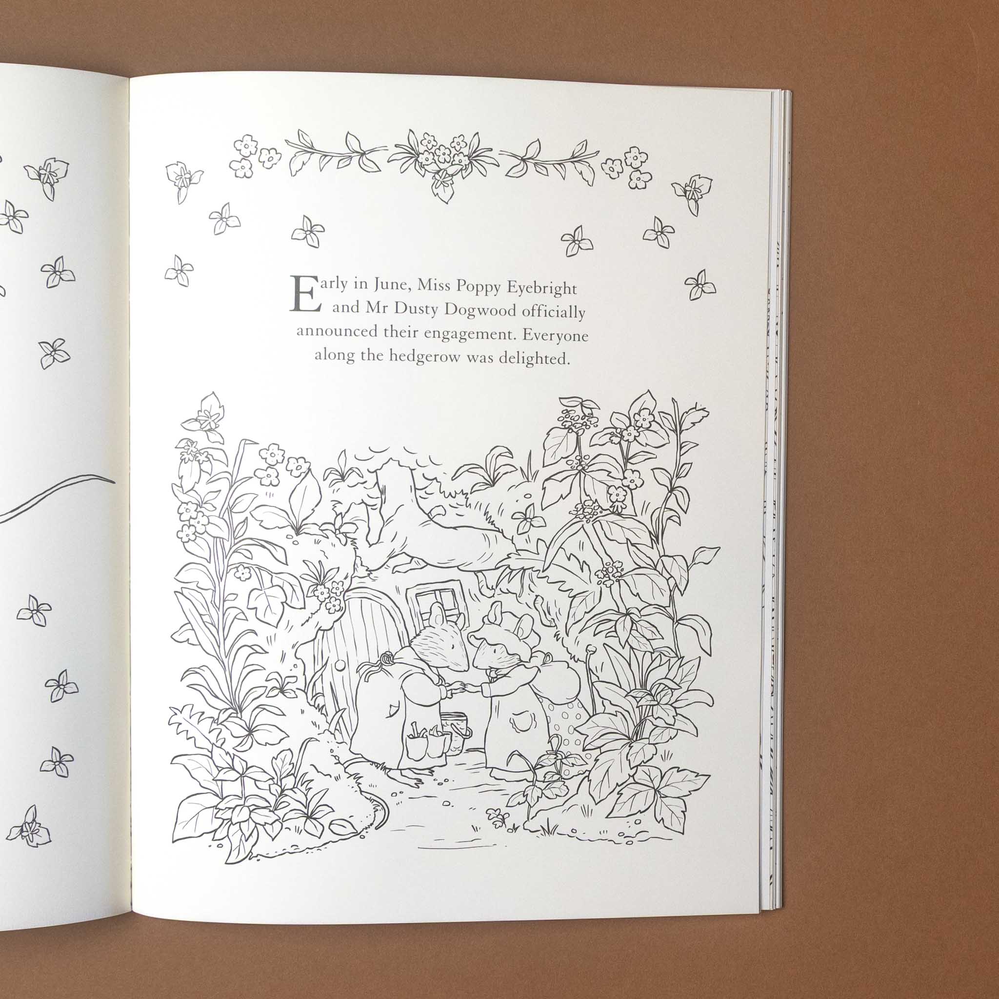 brambly-hedge-nature-coloring-book Open book with a detailed illustration of a garden scene and text on a brown background