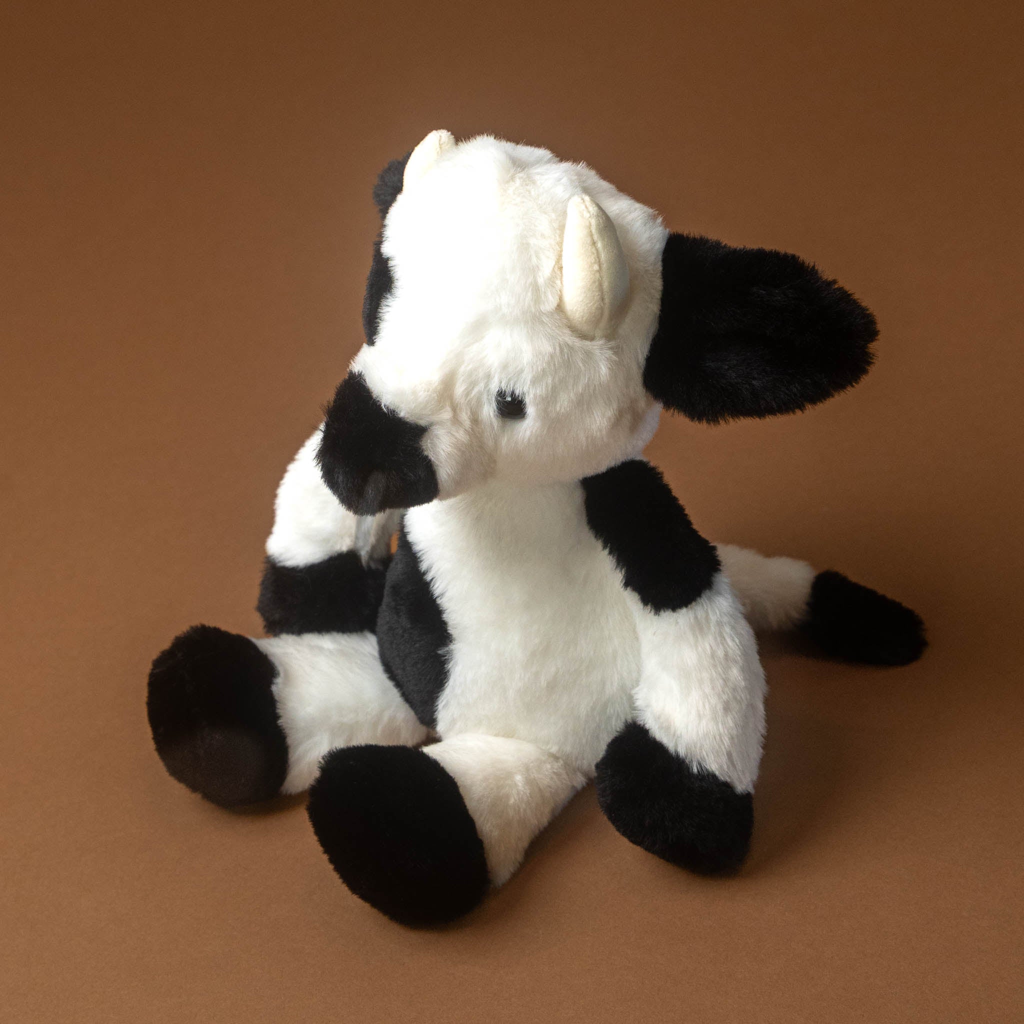 buttercup-the-cow-black-and-white