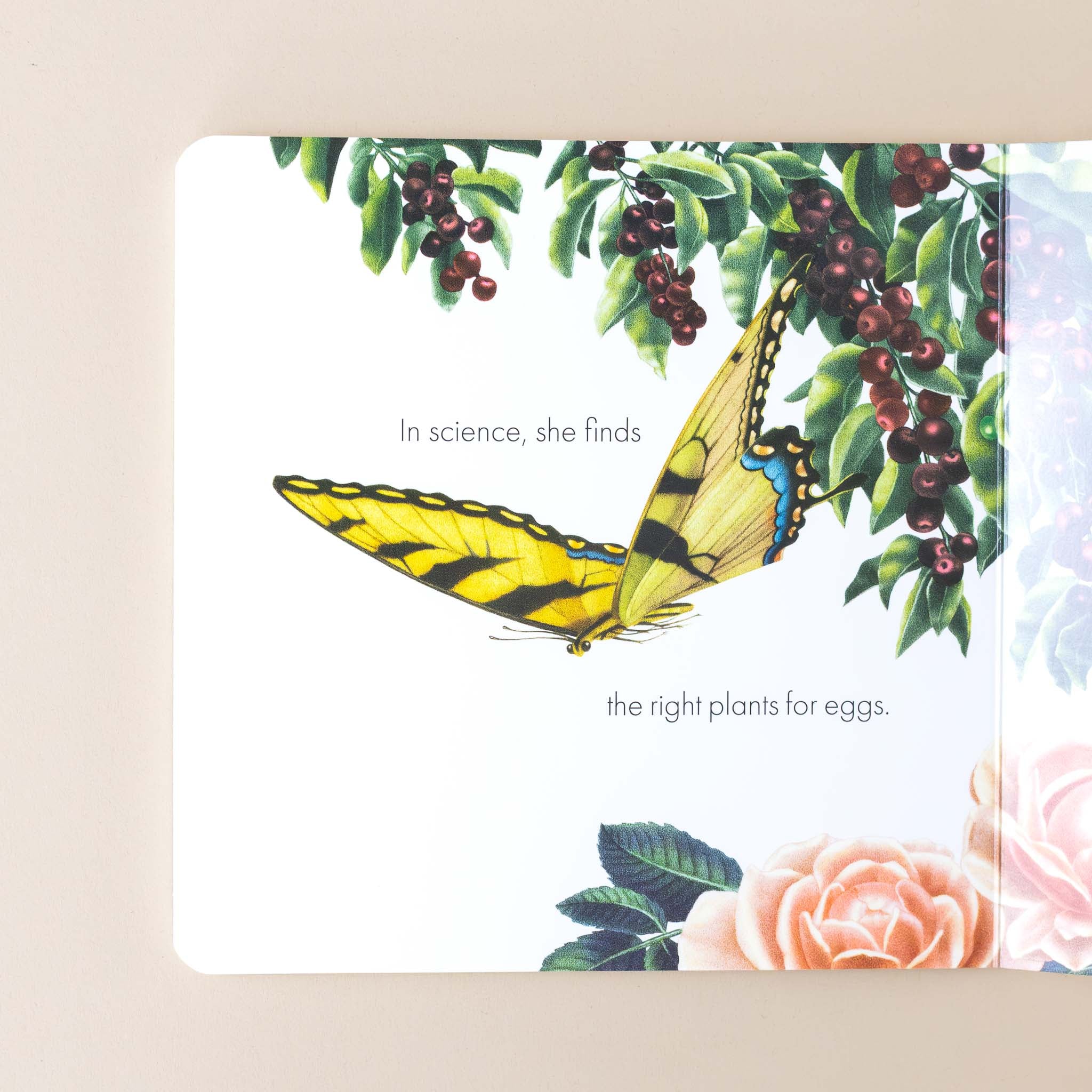 butterfly-goes-to-school-book-illustration-and-text-yellow-swallowtail-in-science-she-finds-the-right-plants-for-eggs