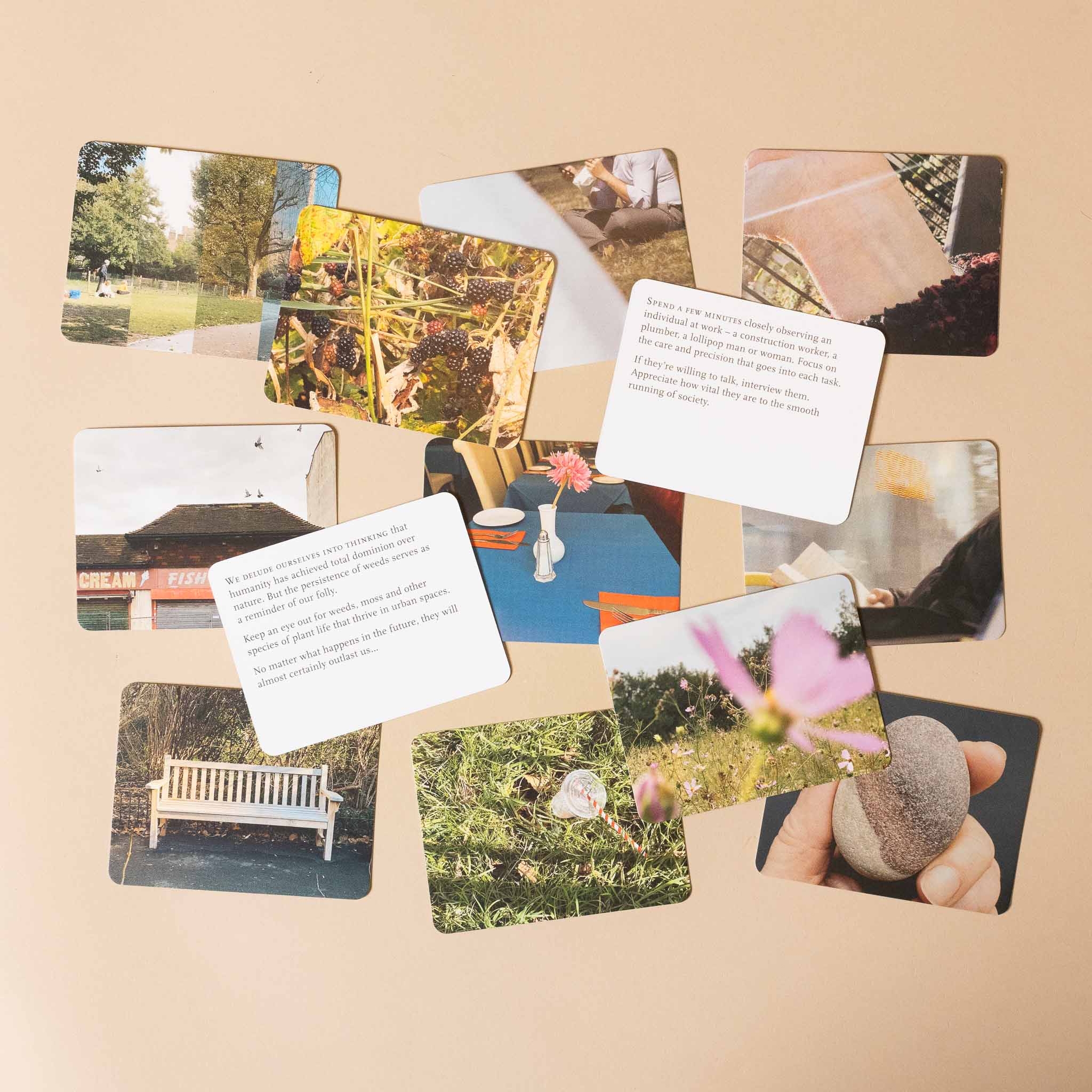 Scattered photos and cards on a beige surface with natural and outdoor scenes.