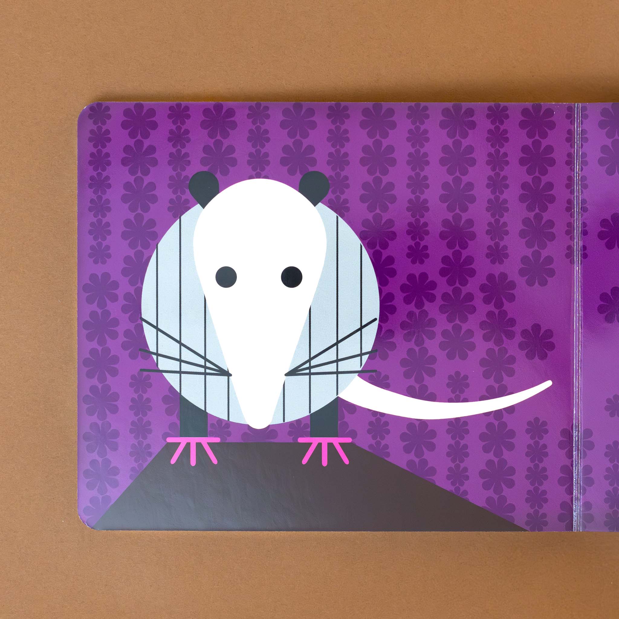 illustration-of-opossum