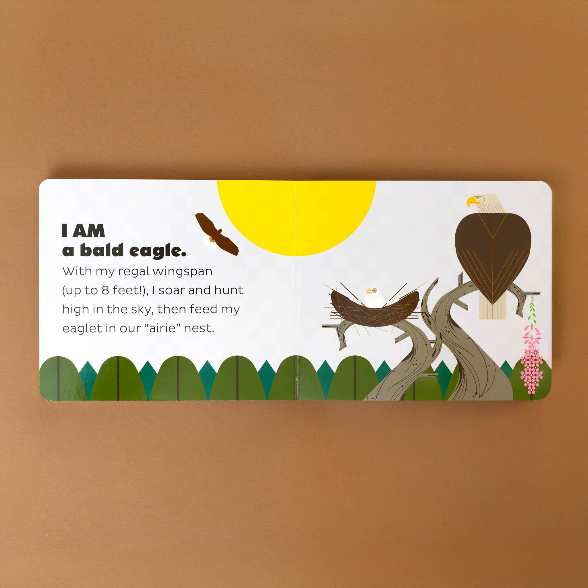 i-am-a-bald-eagle-with-text-and-illustration