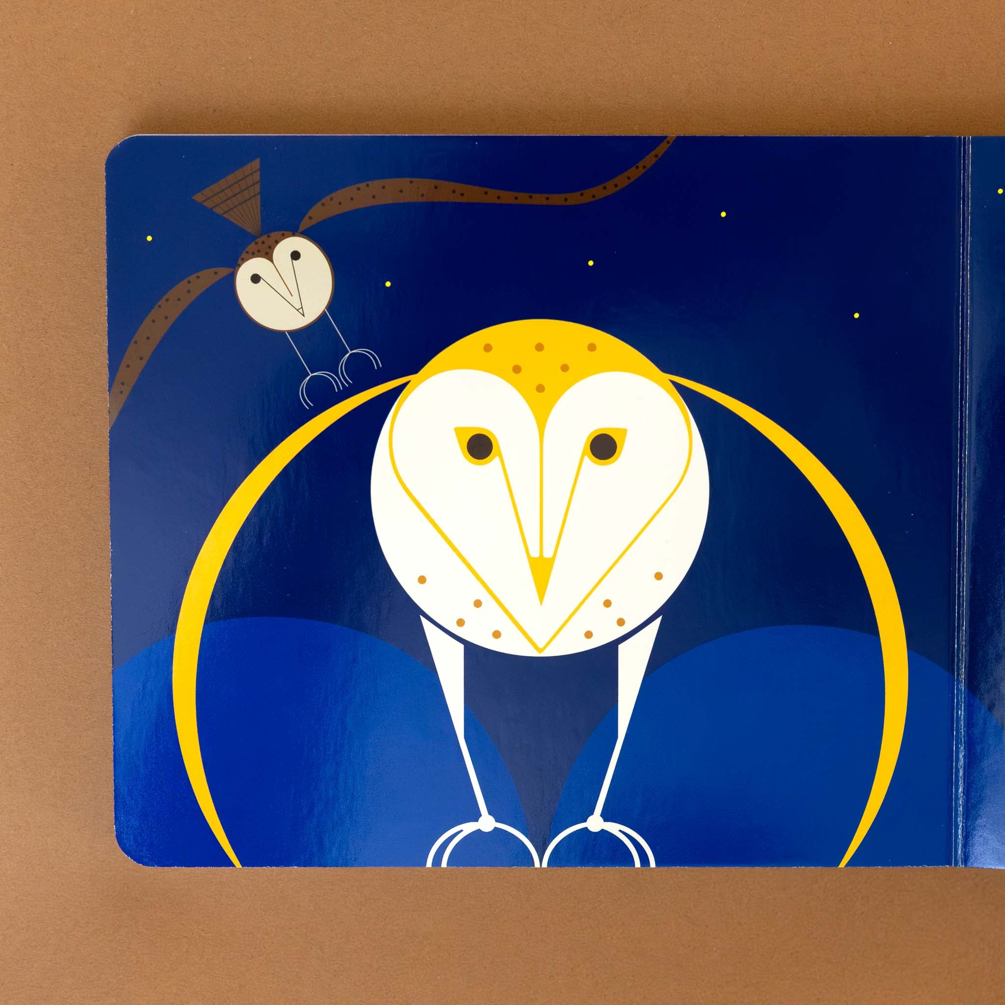 barn-owls-flying-through-night-sky