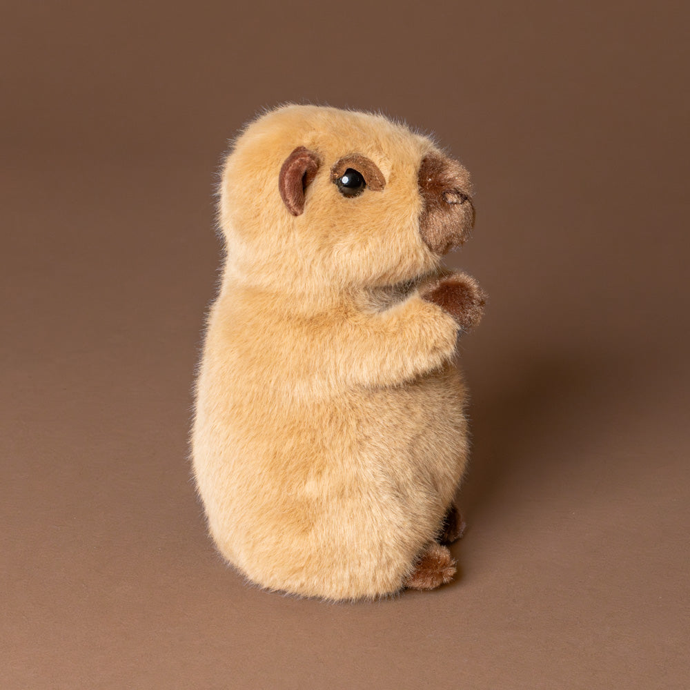 chattie-the-capybara-small-side-stuffed-animal