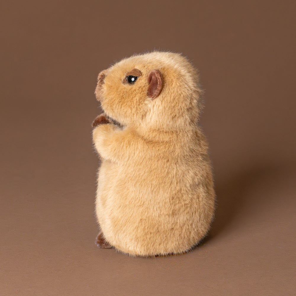 chattie-the-capybara-small-side-stuffed-animal