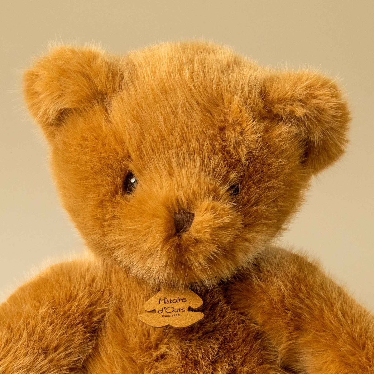 clementine-bear-prailine-petit stuffed-animal