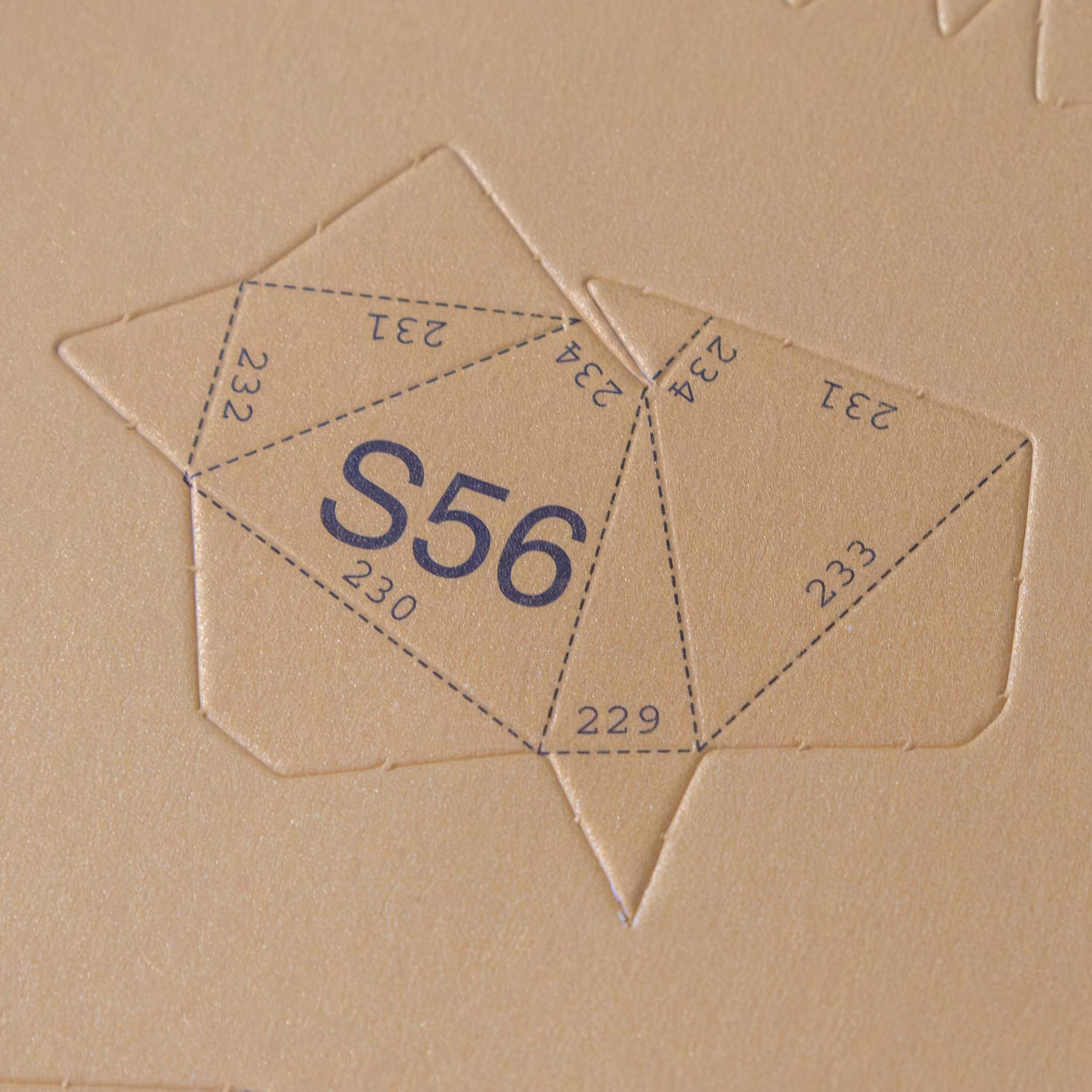 create-your-own-3-d-origami-stegosaurus-model-kit-instructions-for-bends