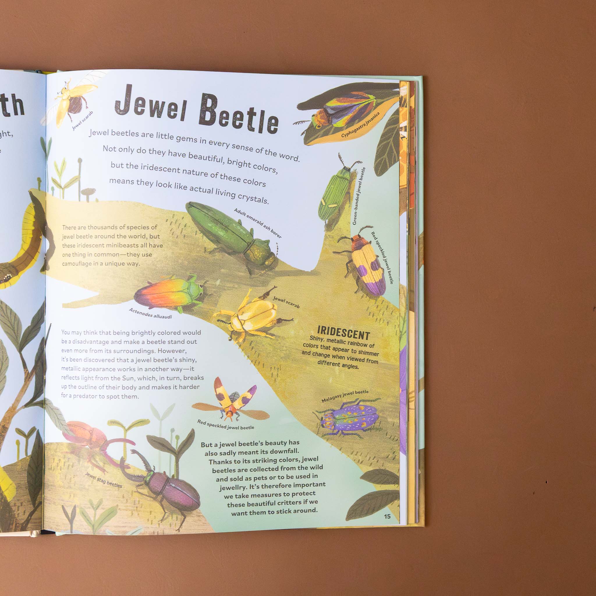 dont-squish-a-slug-book-illustration-and-text-about-a-jewel-bettle