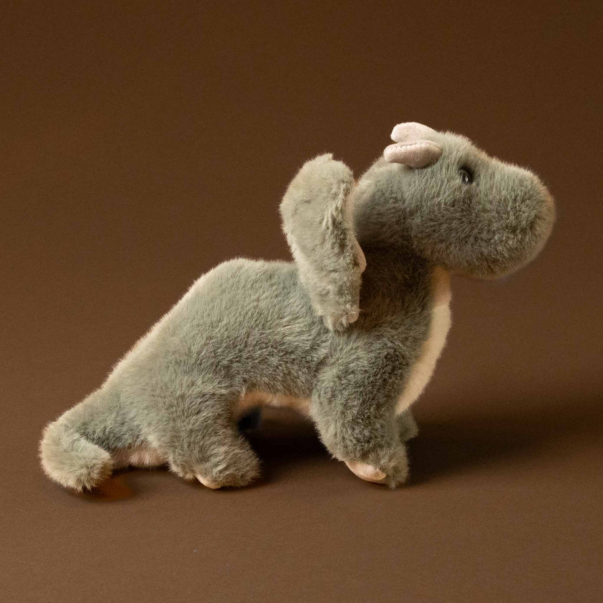 dustin-the-dragon-1-stuffed-animal