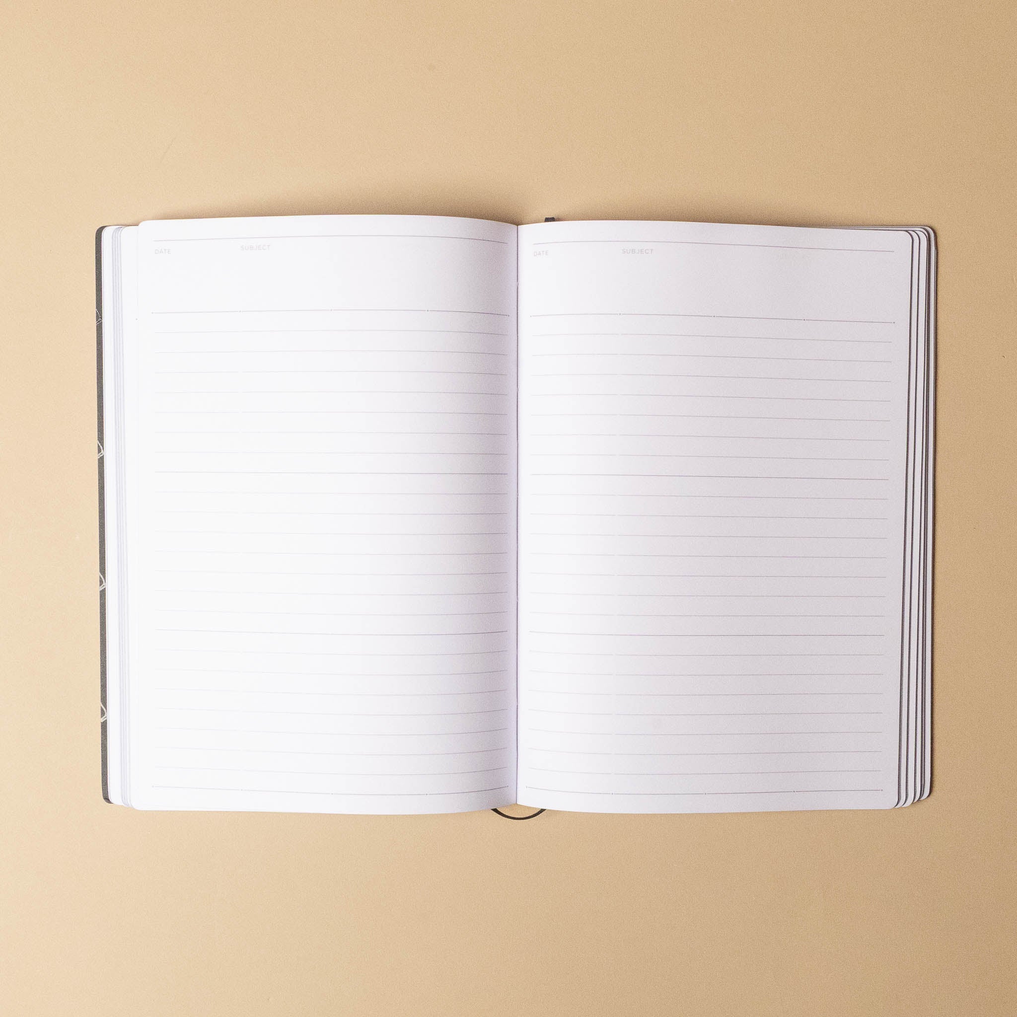 Open edward-gorey-journal-tra-la-la with lined pages on a beige background