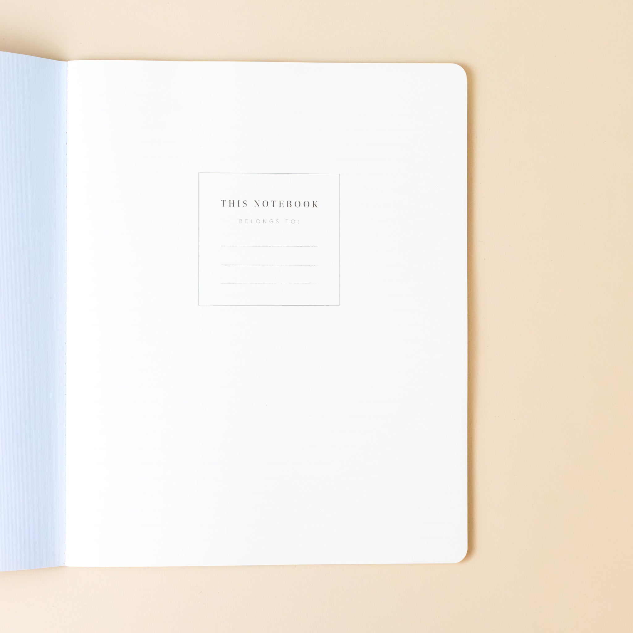 exercise-notebook-lion-stripe-interior-title-page