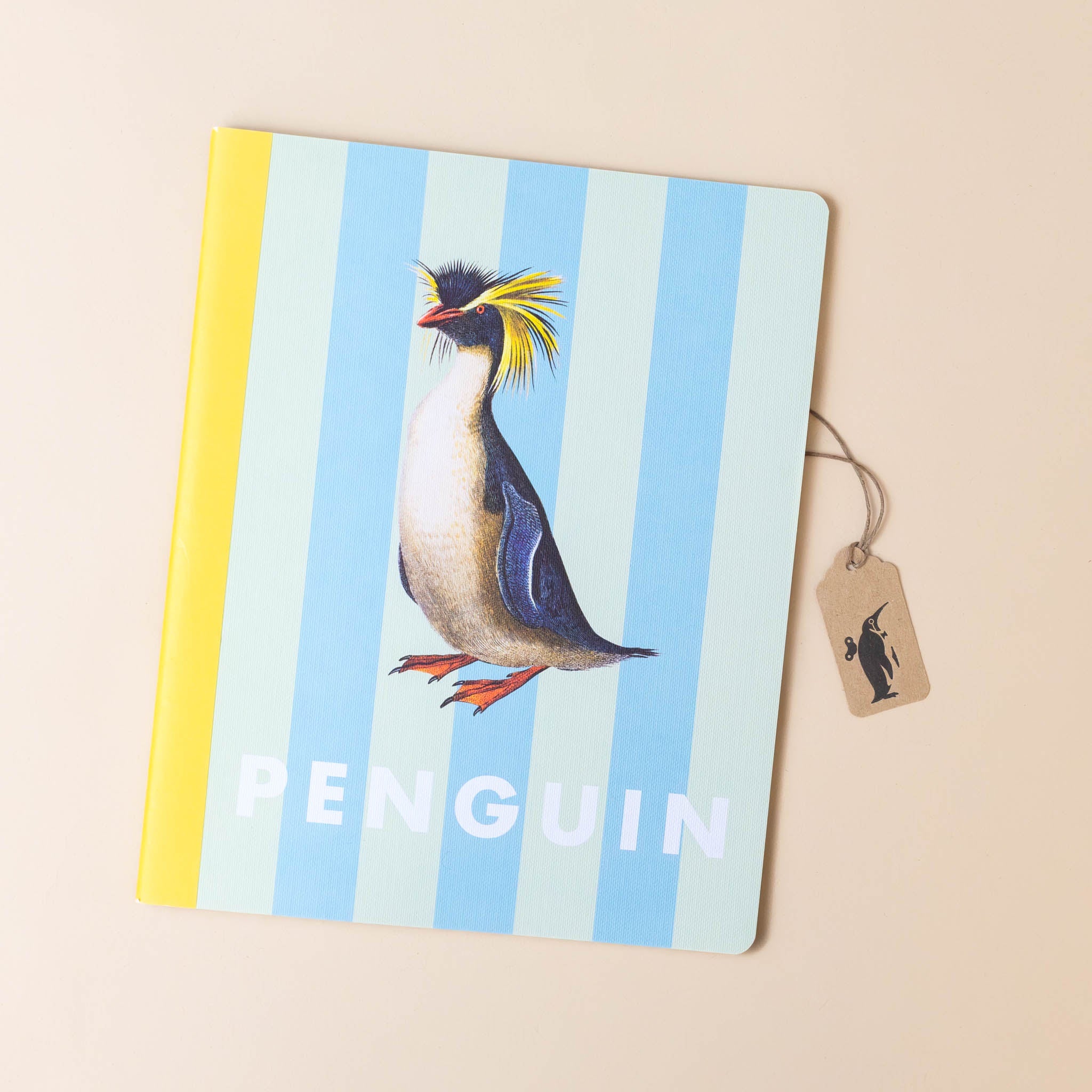 exercise-notebook-penguin-seafoam-blue-stripe-cover