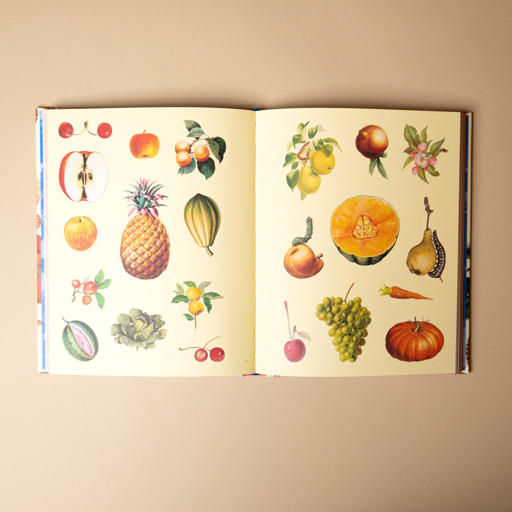 extraordinary-things-sticker-book- Open book with illustrations of fruits and vegetables on a beige background