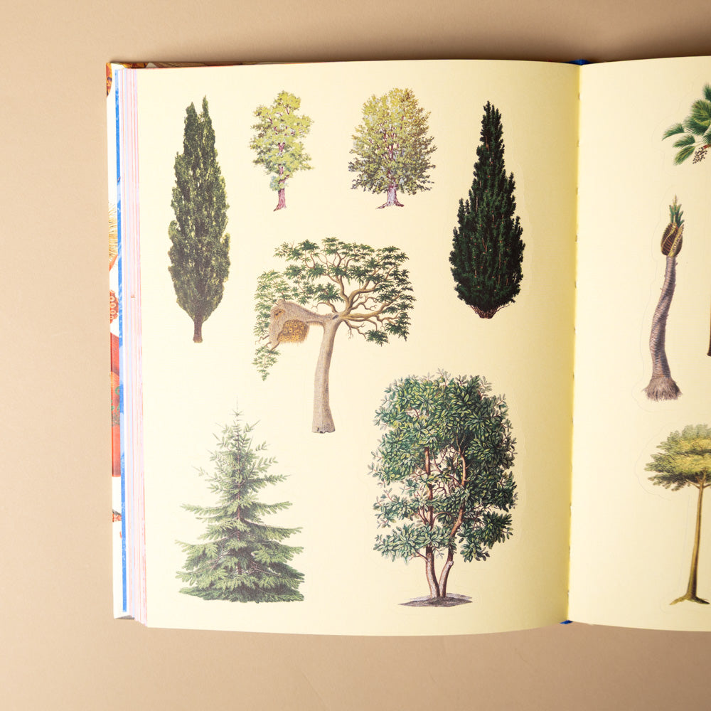 extraordinary-things-sticker-book- Illustrations of various trees on a book page