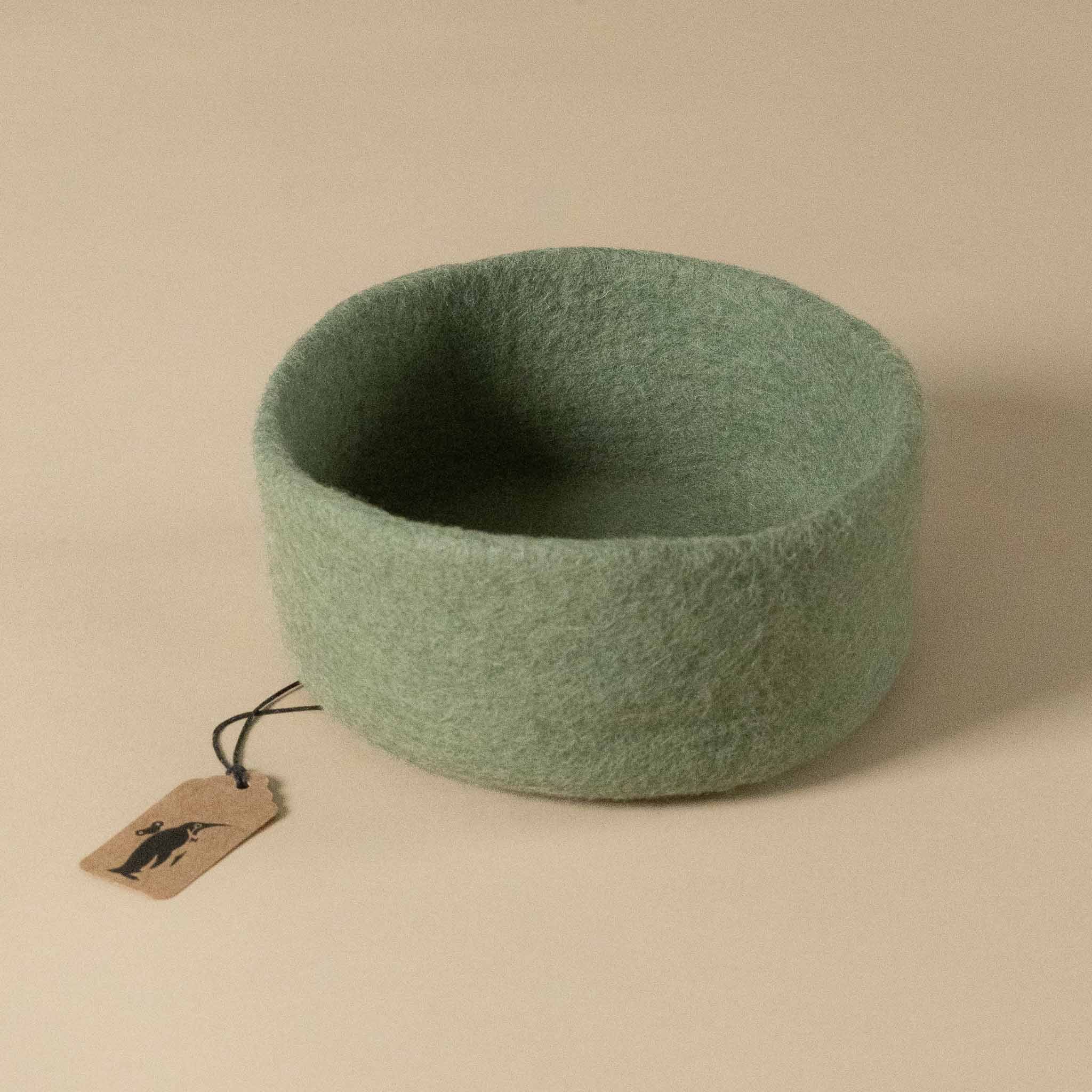 felt-dish-mint-green-medium
