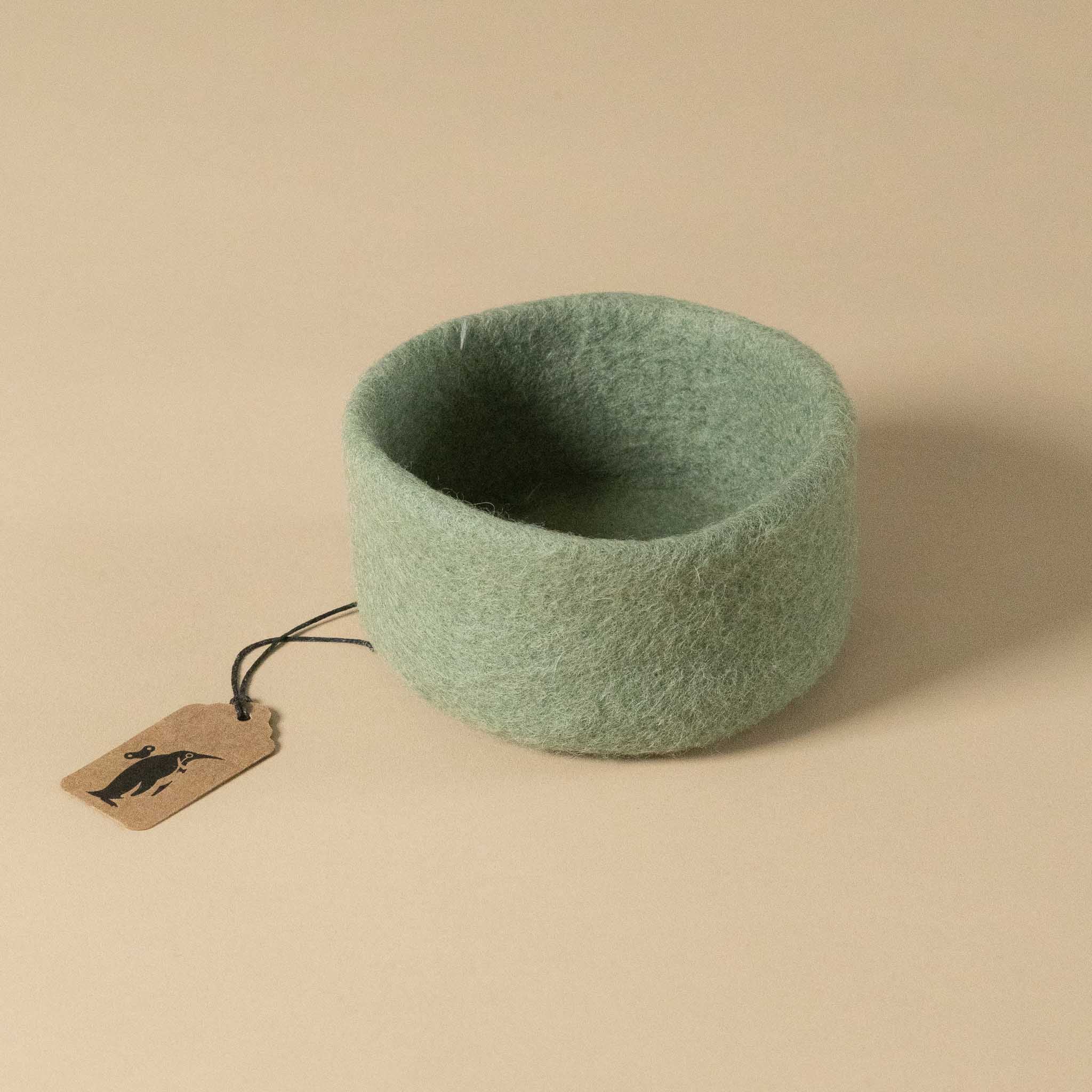 felt-dish-mint-green-small