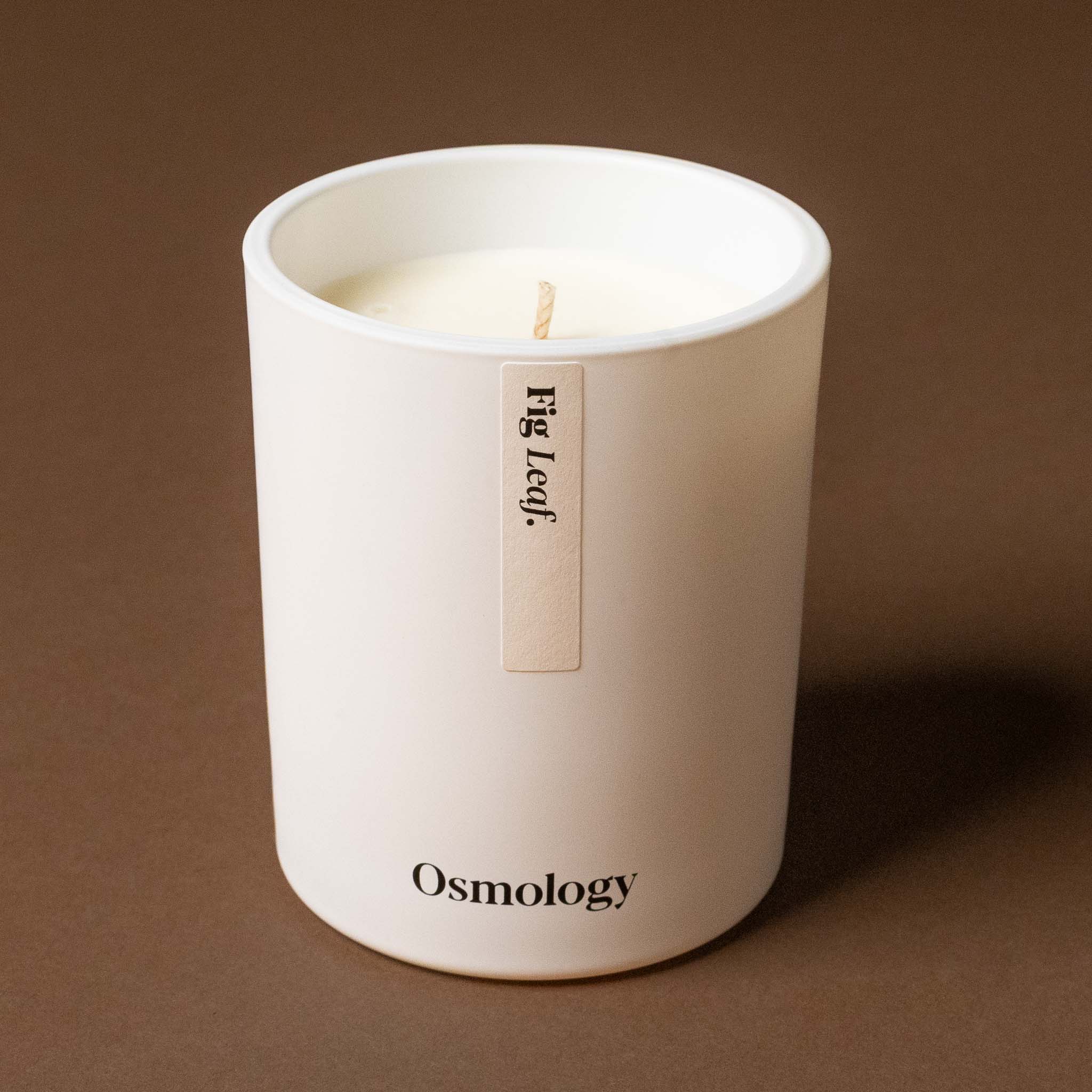 White candle in a ceramic holder fig-leaf-candle on a brown background